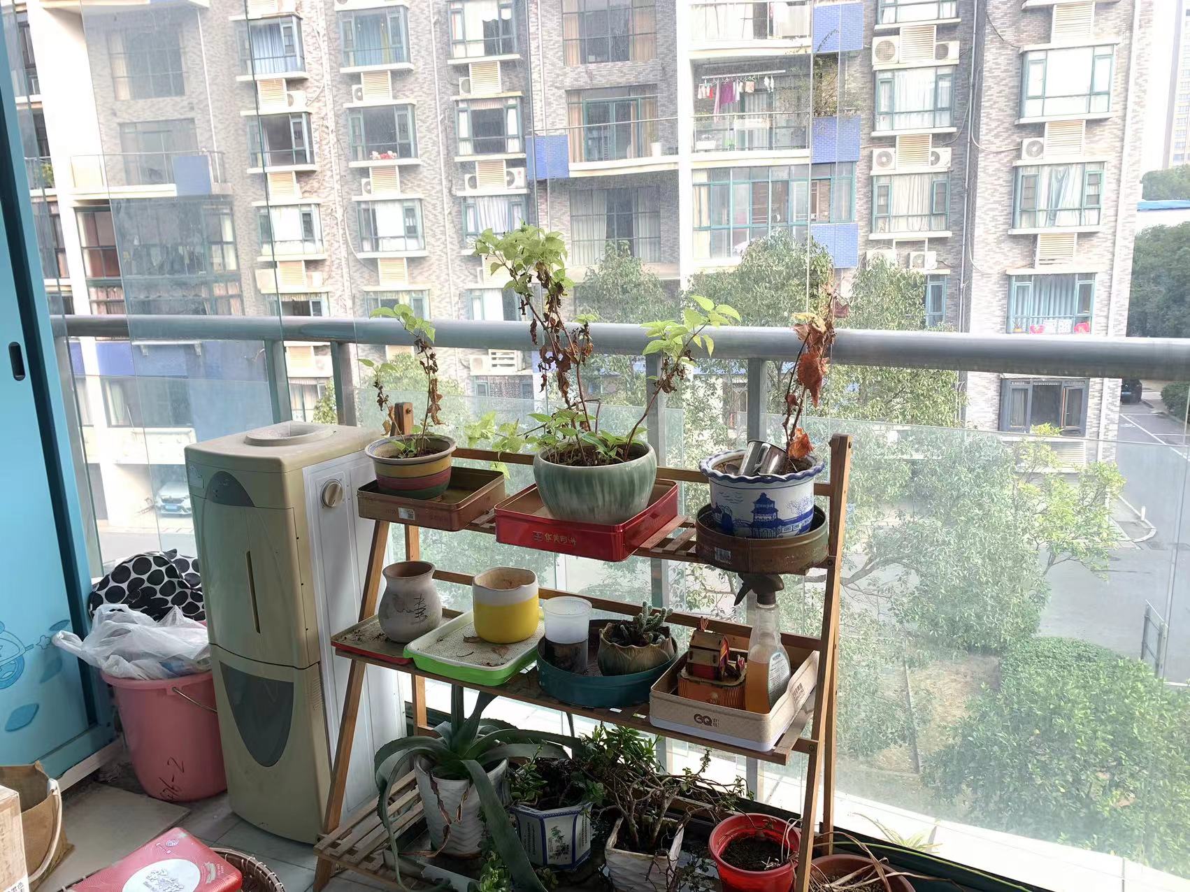 海创明珠花园 3室2厅2卫 56.0万 海创明珠花园 3室2厅2卫 56.0万室内图