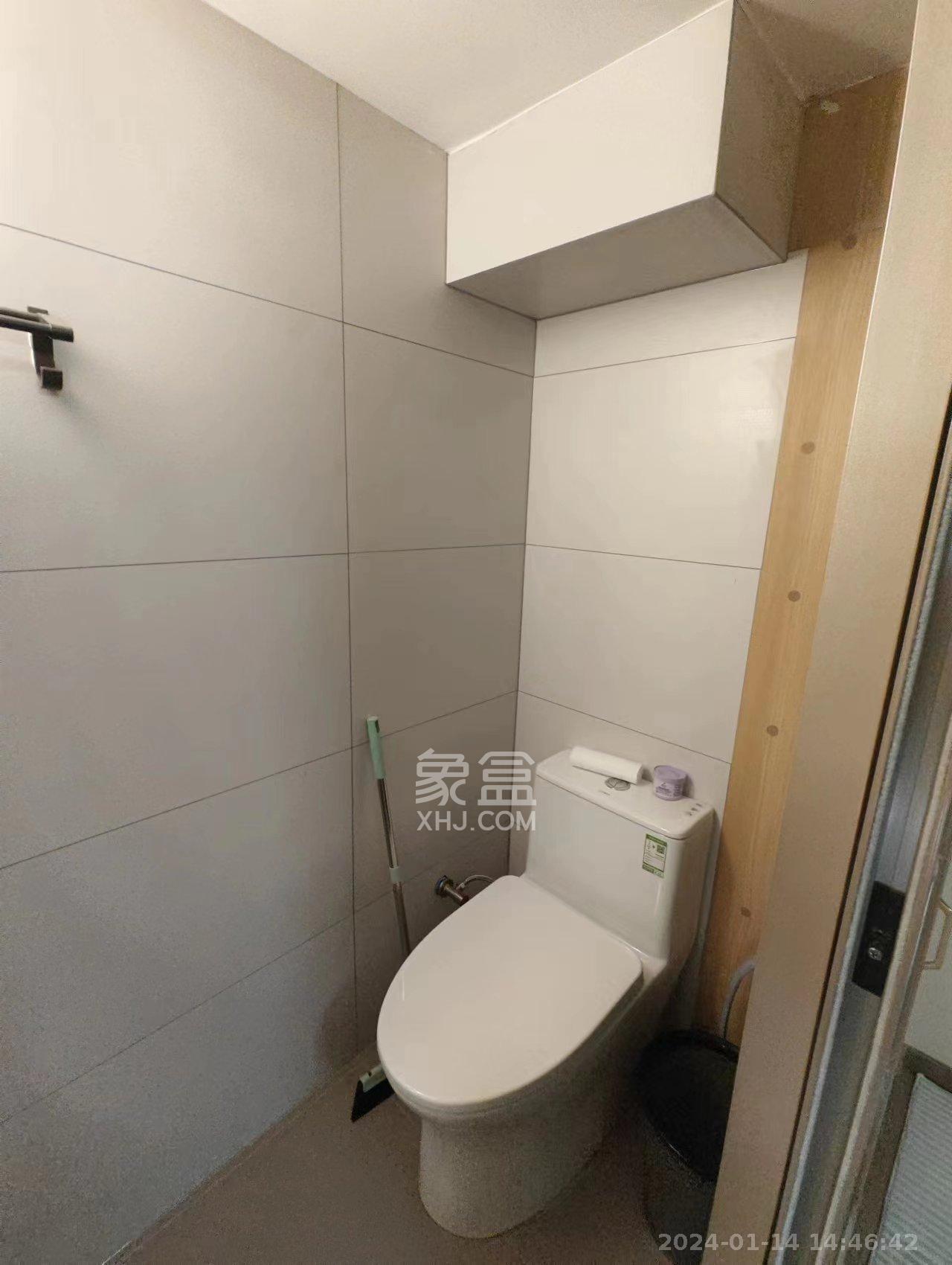 藏珑湖上公馆  2室1厅2卫   3500.00元/月室内图
