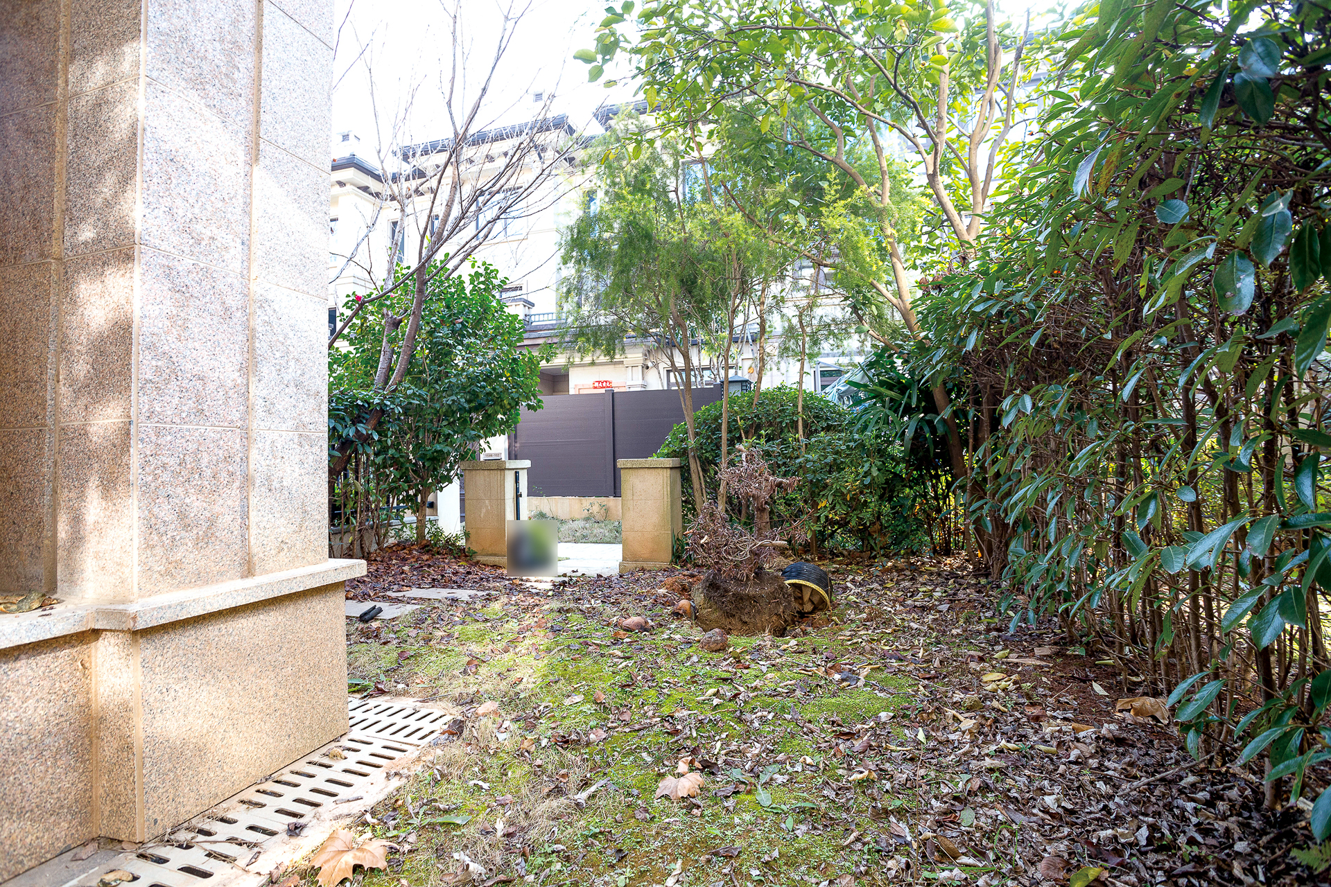 龙湖湘风原著（龙湖湘风星城）  4室3厅3卫    245.0万其他