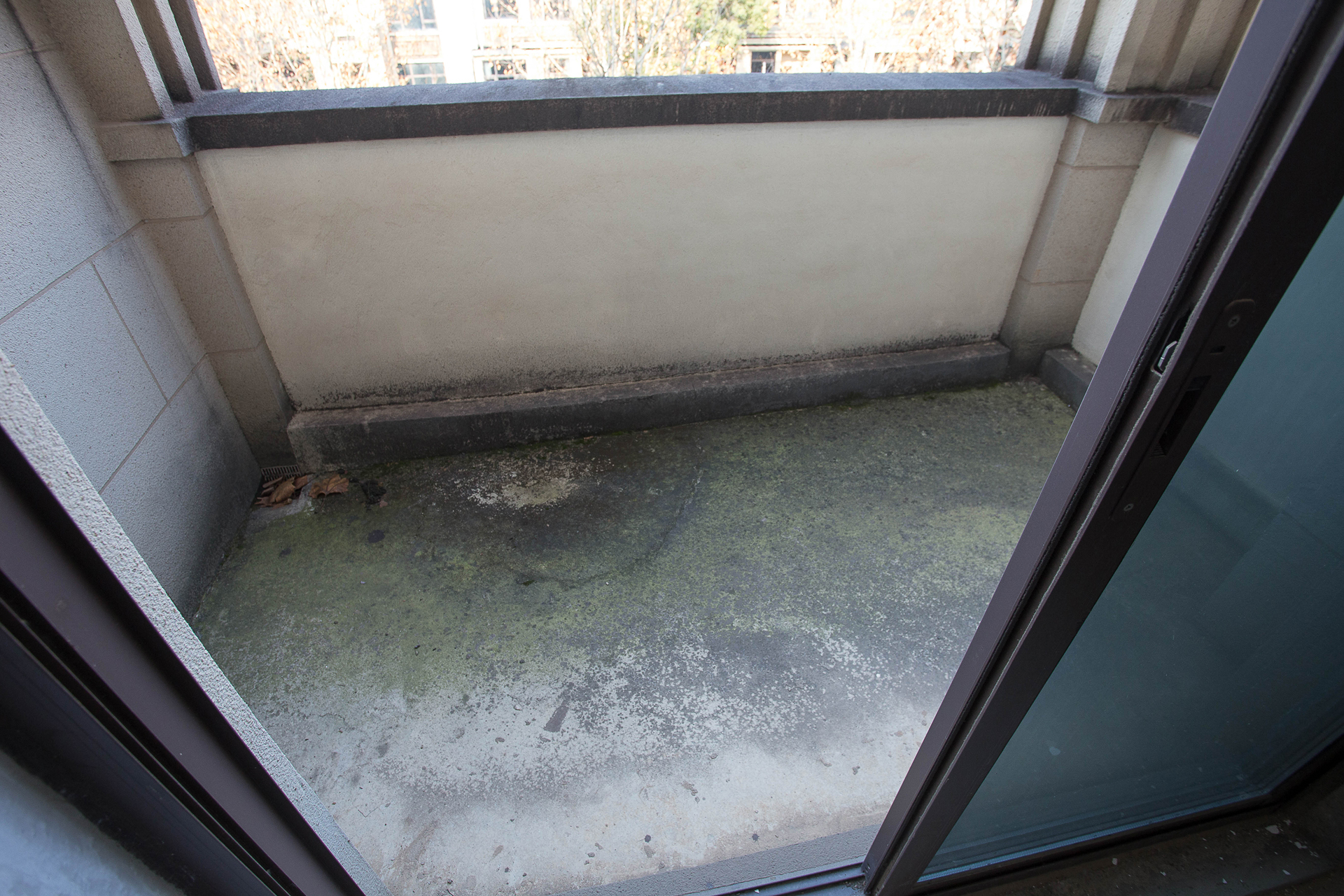 龙湖湘风原著（龙湖湘风星城）  4室3厅3卫    245.0万阳台