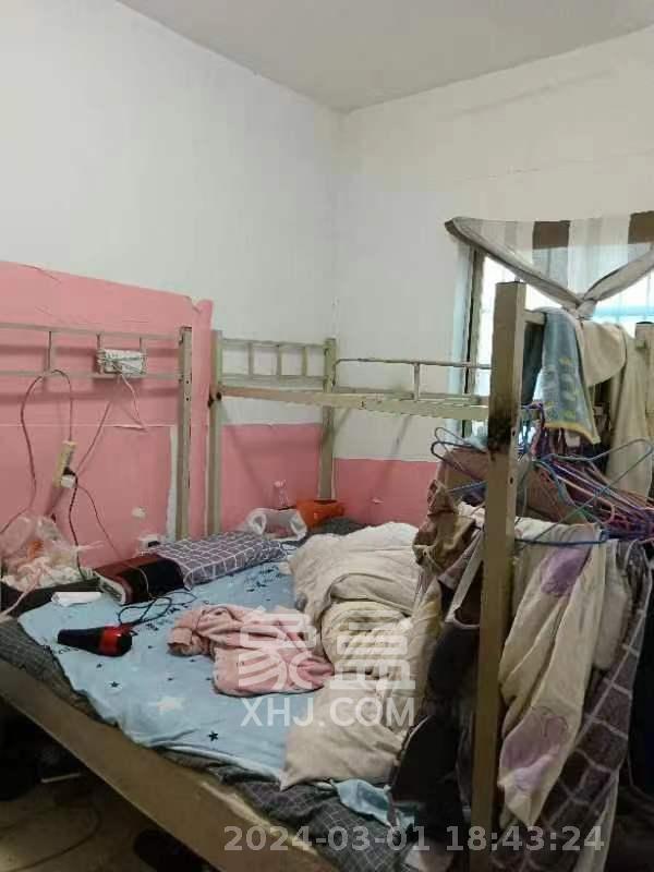 马王堆陶瓷建材新城  5室2厅1卫   2100.00元/月室内图