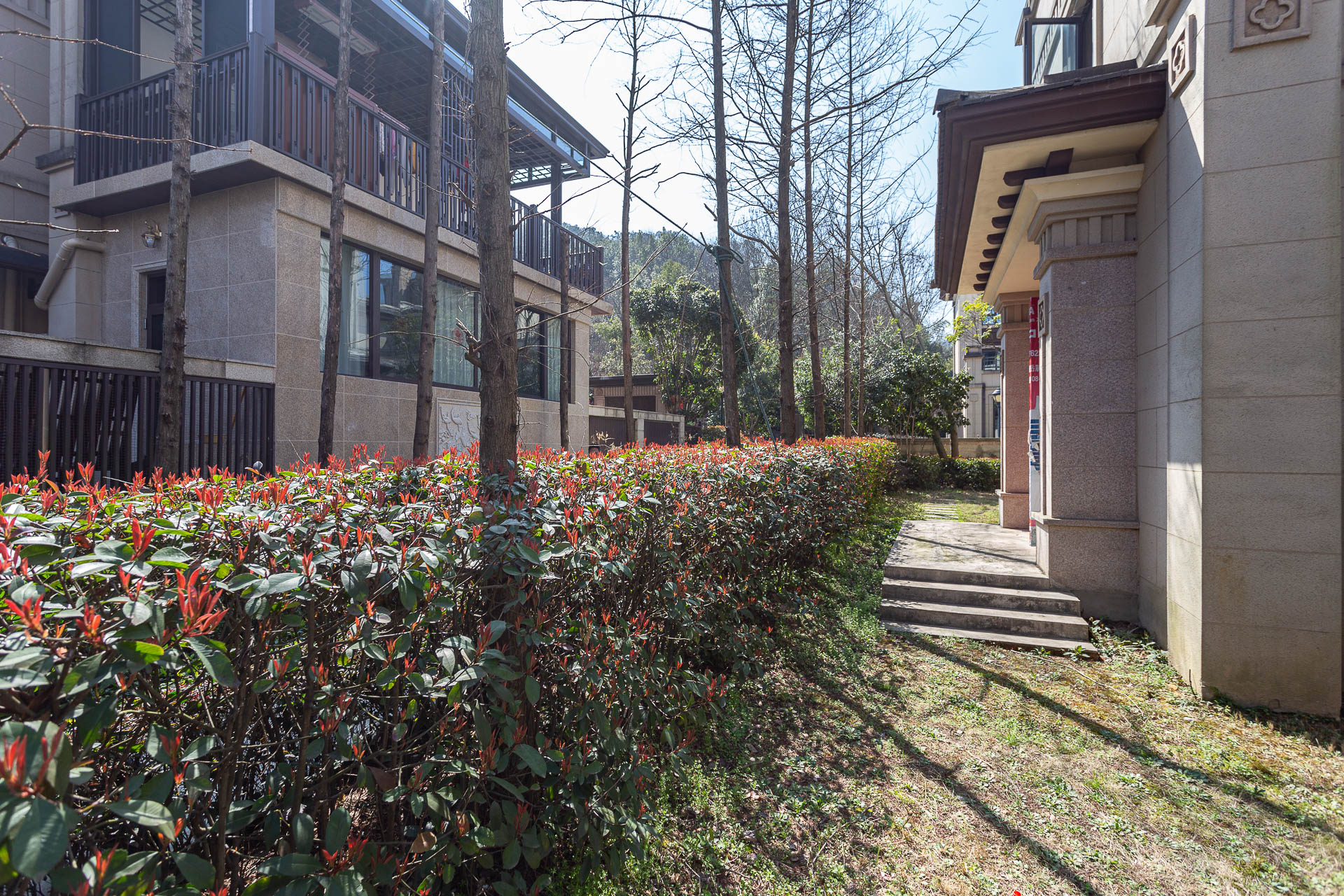 龙湖璟宸原著(龙湖紫宸)  6室2厅4卫    800.0万 龙湖璟宸原著(龙湖紫宸)  6室2厅4卫    800.0万其他