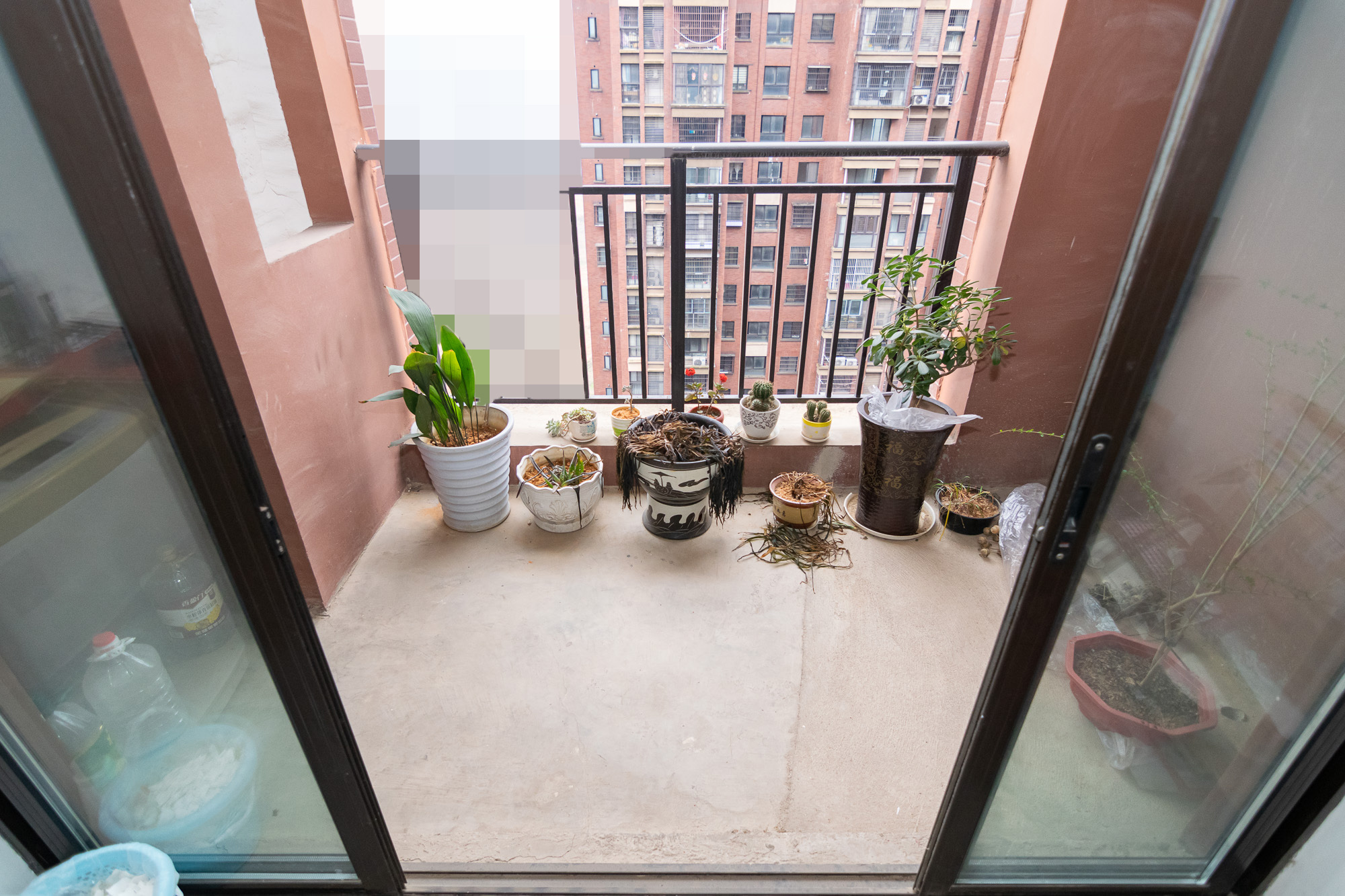 新城国际花都 2室1厅1卫 63.0万 新城国际花都 2室1厅1卫 63.0万阳台