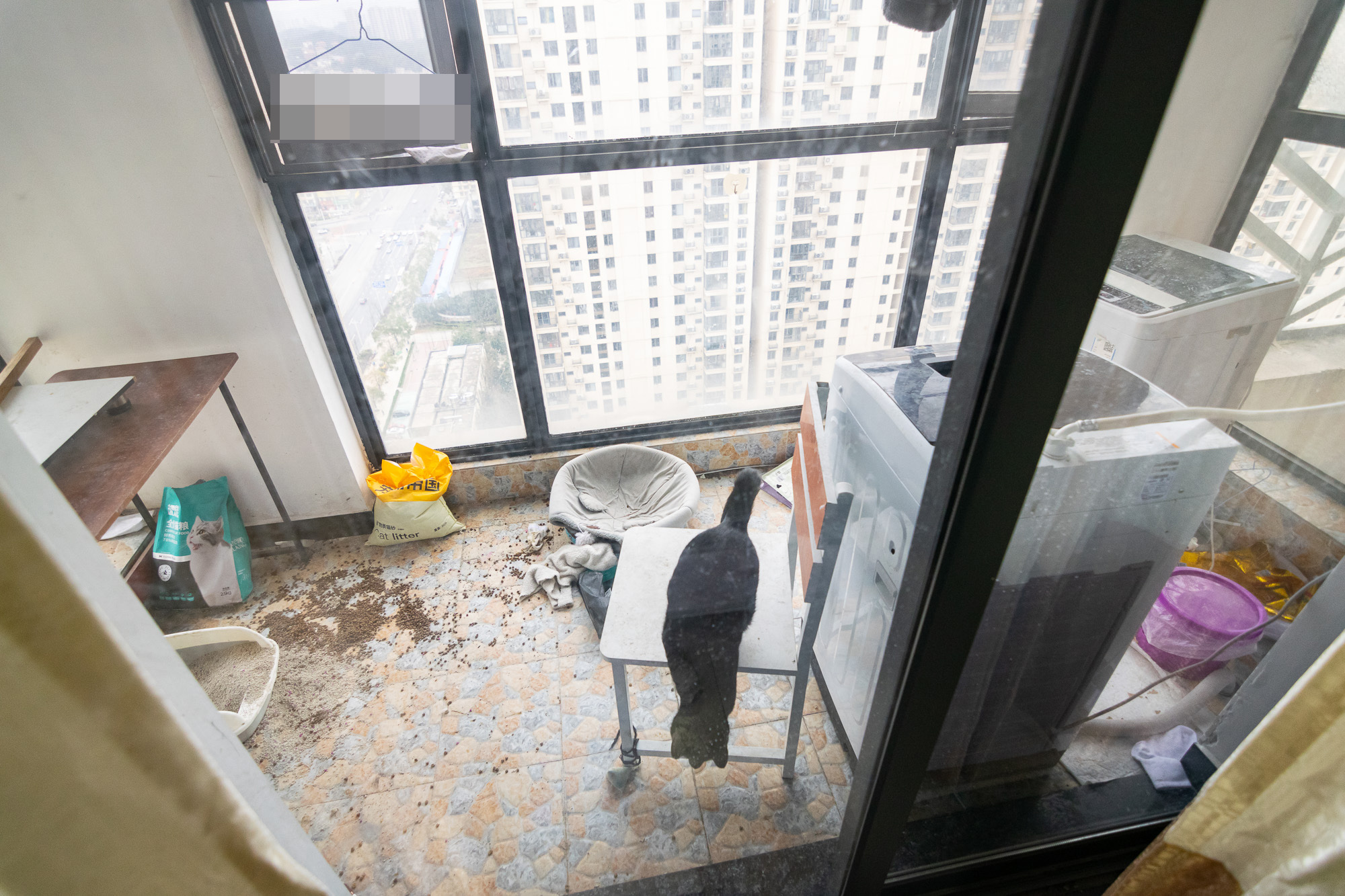 中粮鸿云  3室2厅1卫    62.0万阳台