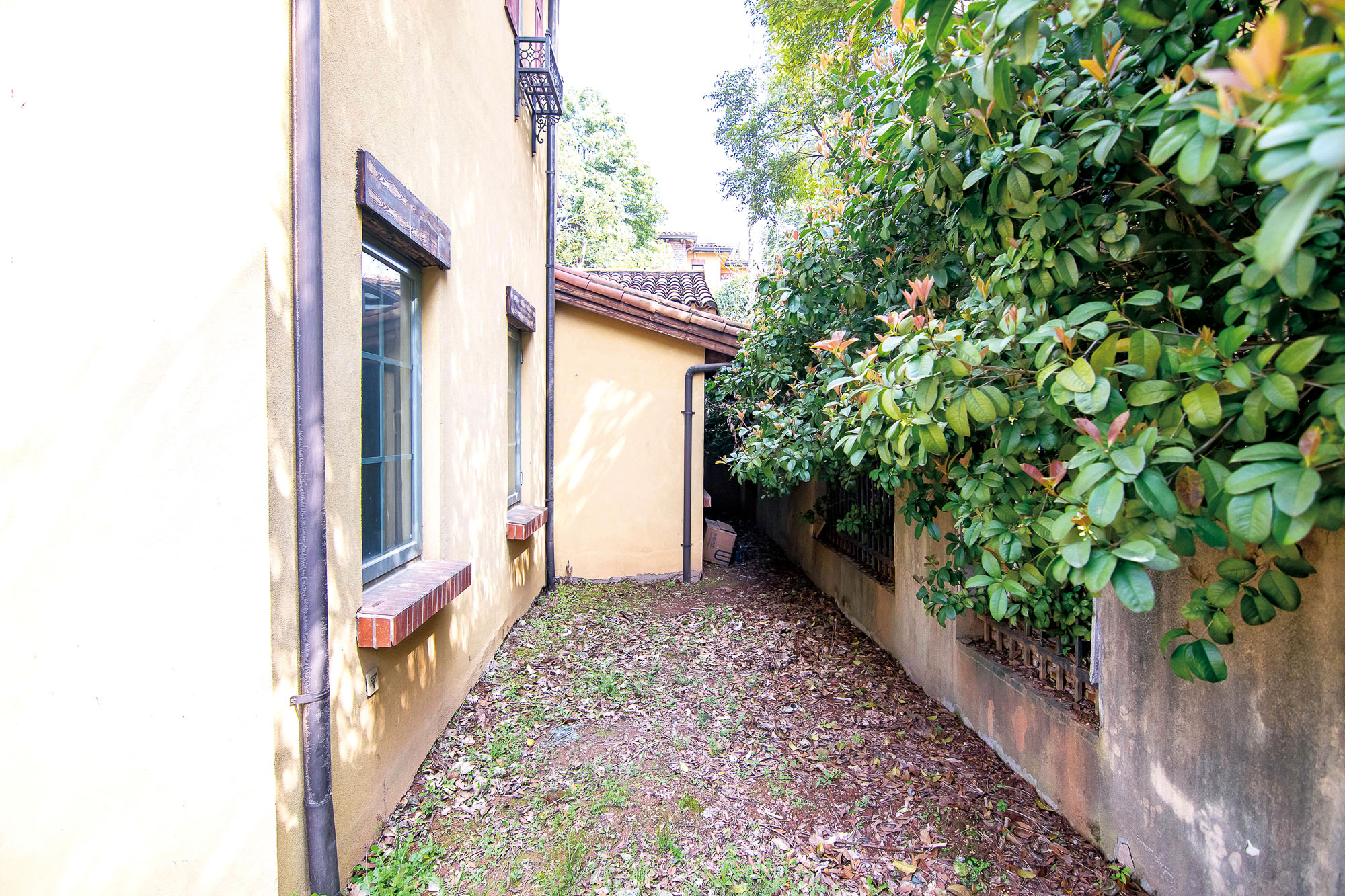 中粮北纬28°别墅  8室4厅6卫    568.0万其他