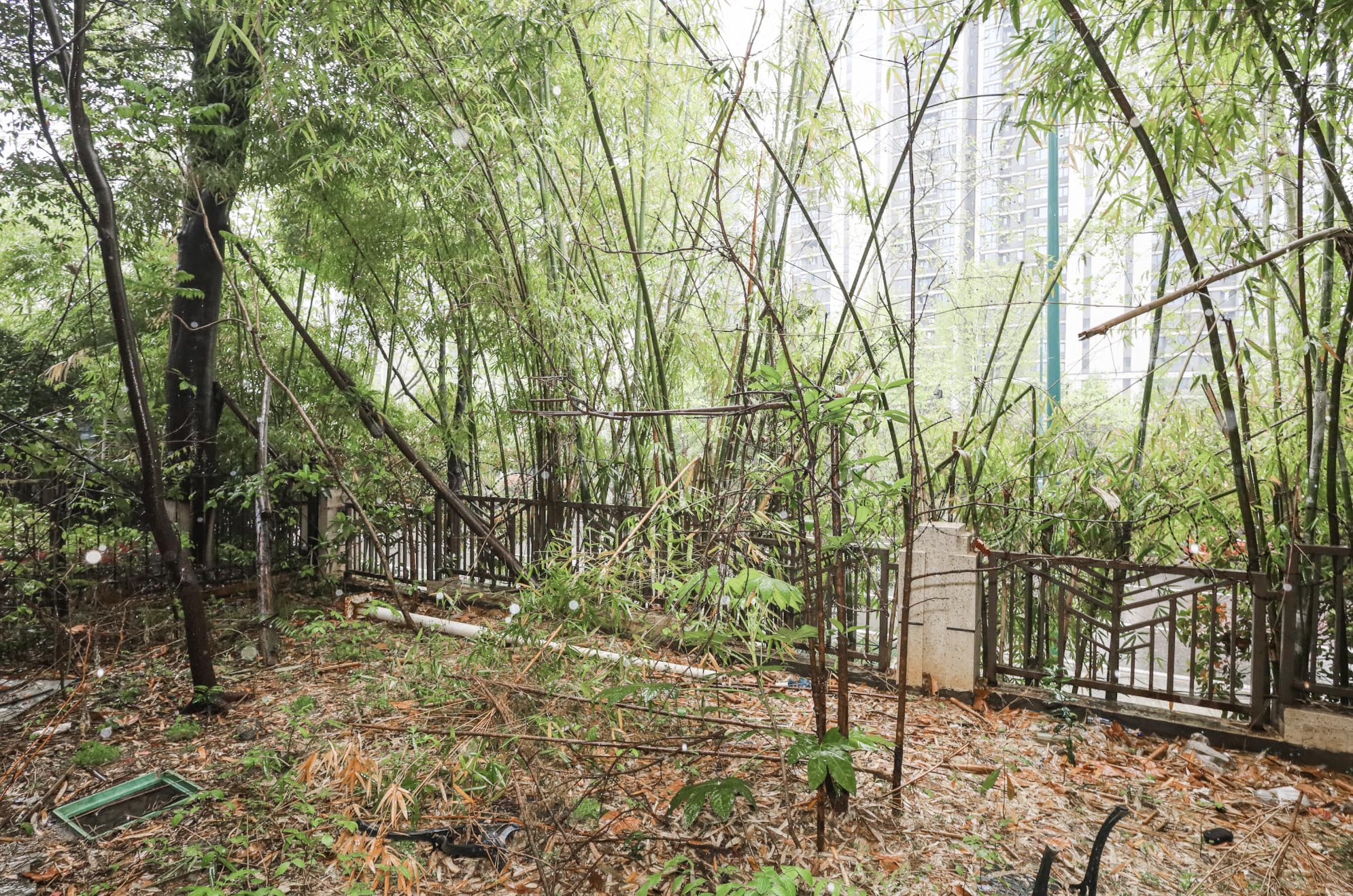 旭辉御府  6室3厅3卫    538.57万其他