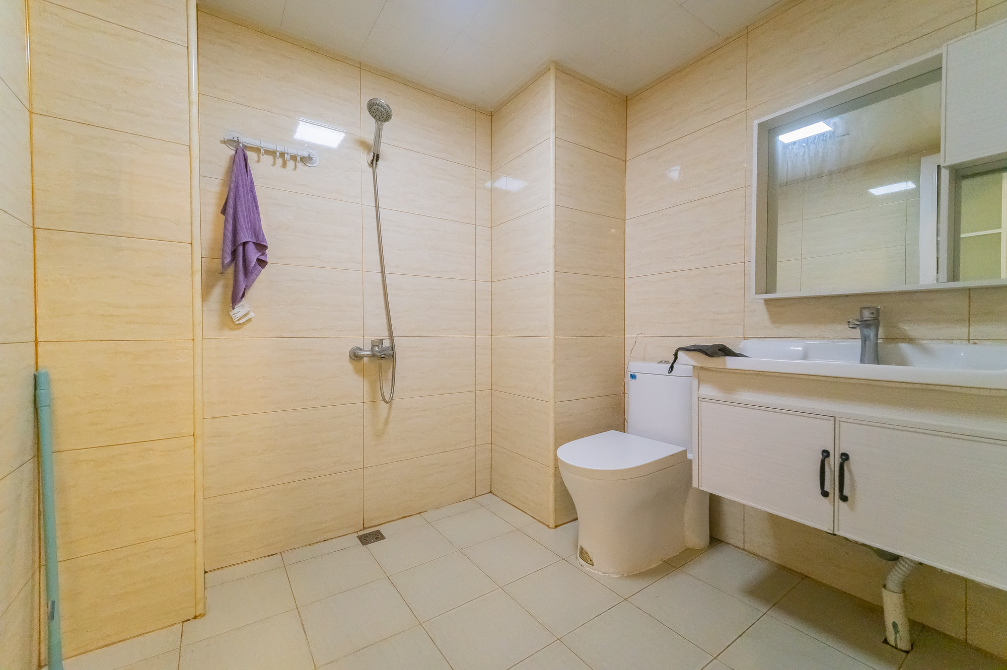 国泰九龙湾 1室1厅1卫 29.8万 国泰九龙湾 1室1厅1卫 29.8万卫生间