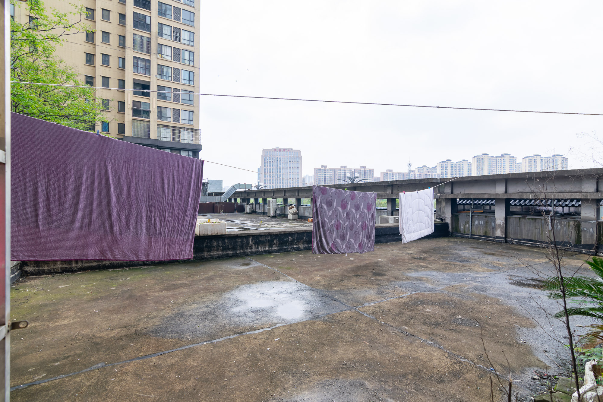 湖南报业文化城(米地亚家园) 3室2厅2卫 96.8万 湖南报业文化城(米地亚家园) 3室2厅2卫 96.8万其他