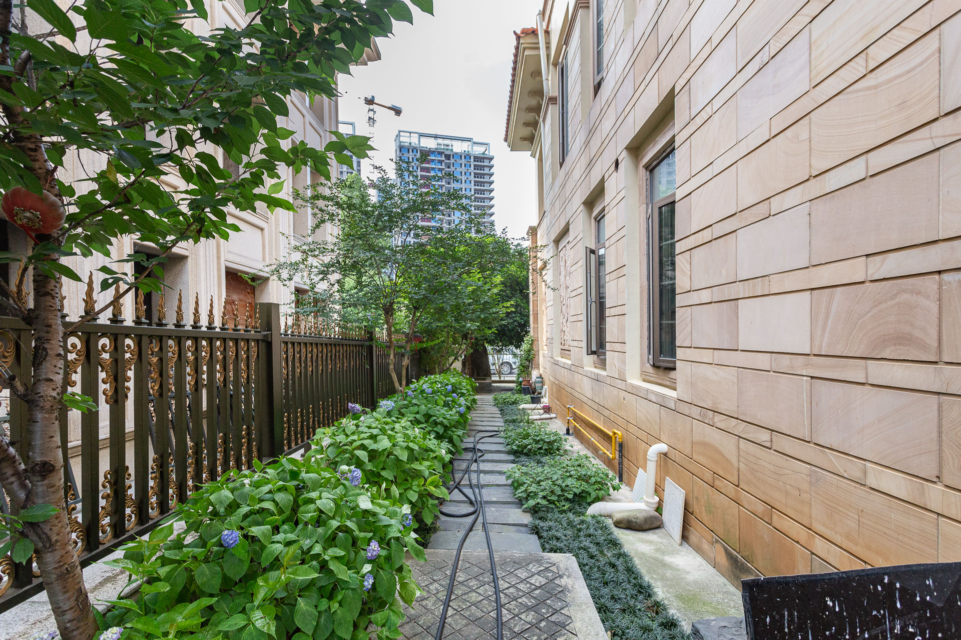 长沙玫瑰园 8室3厅4卫 1450.0万 长沙玫瑰园 8室3厅4卫 1450.0万其他