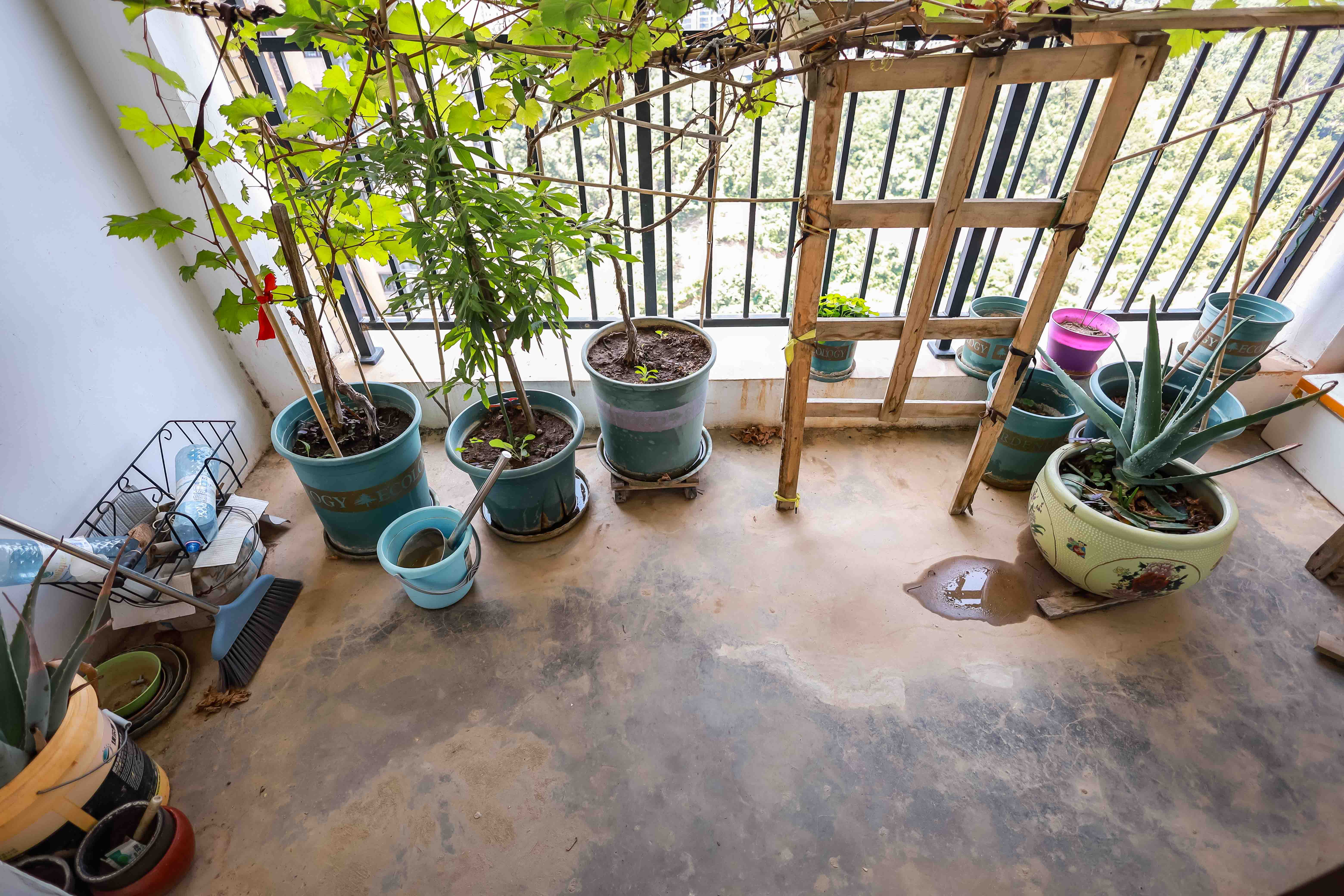 盛景谷山里  3室2厅2卫   142.00万阳台