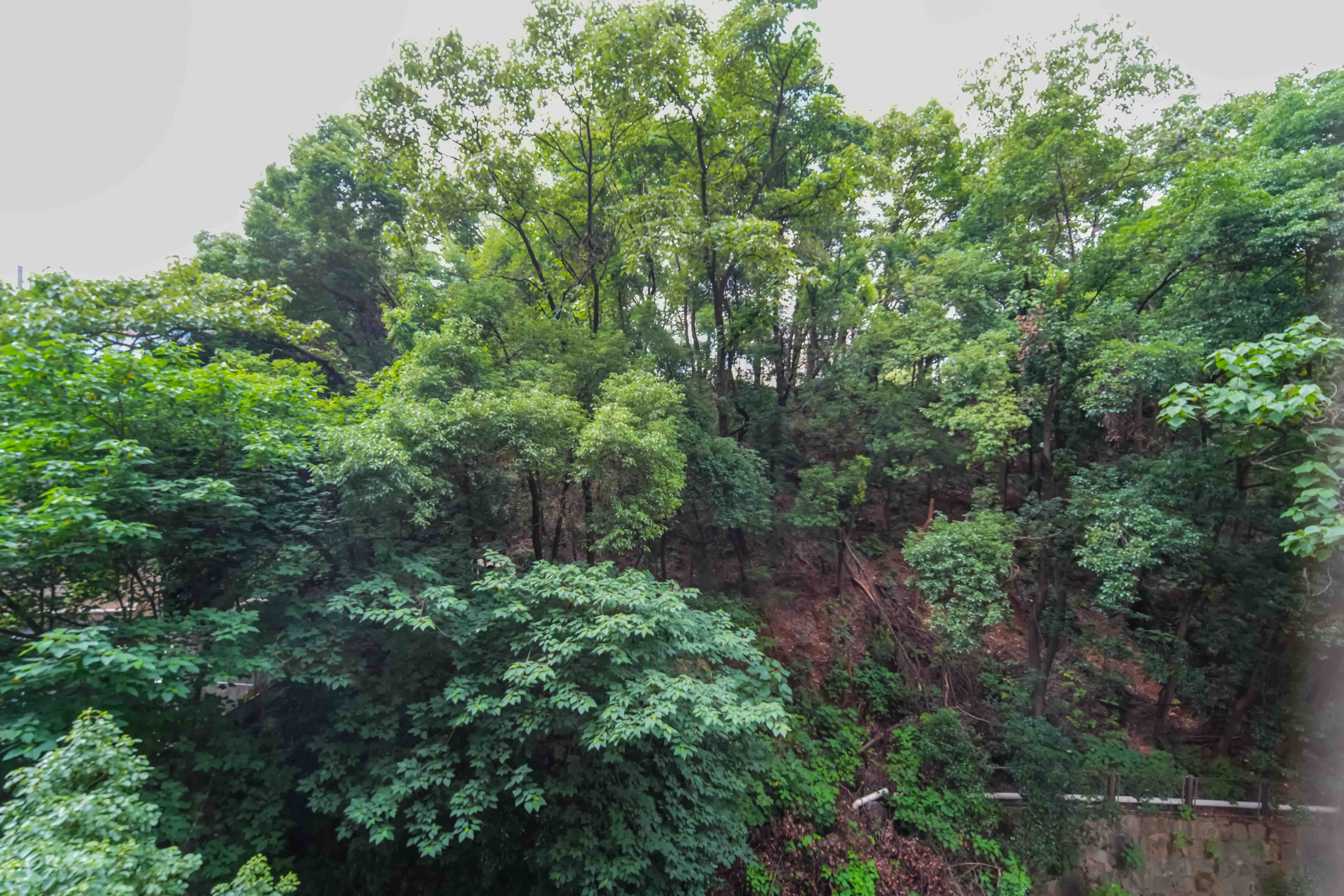 优山美地  2室2厅1卫   76.20万其他