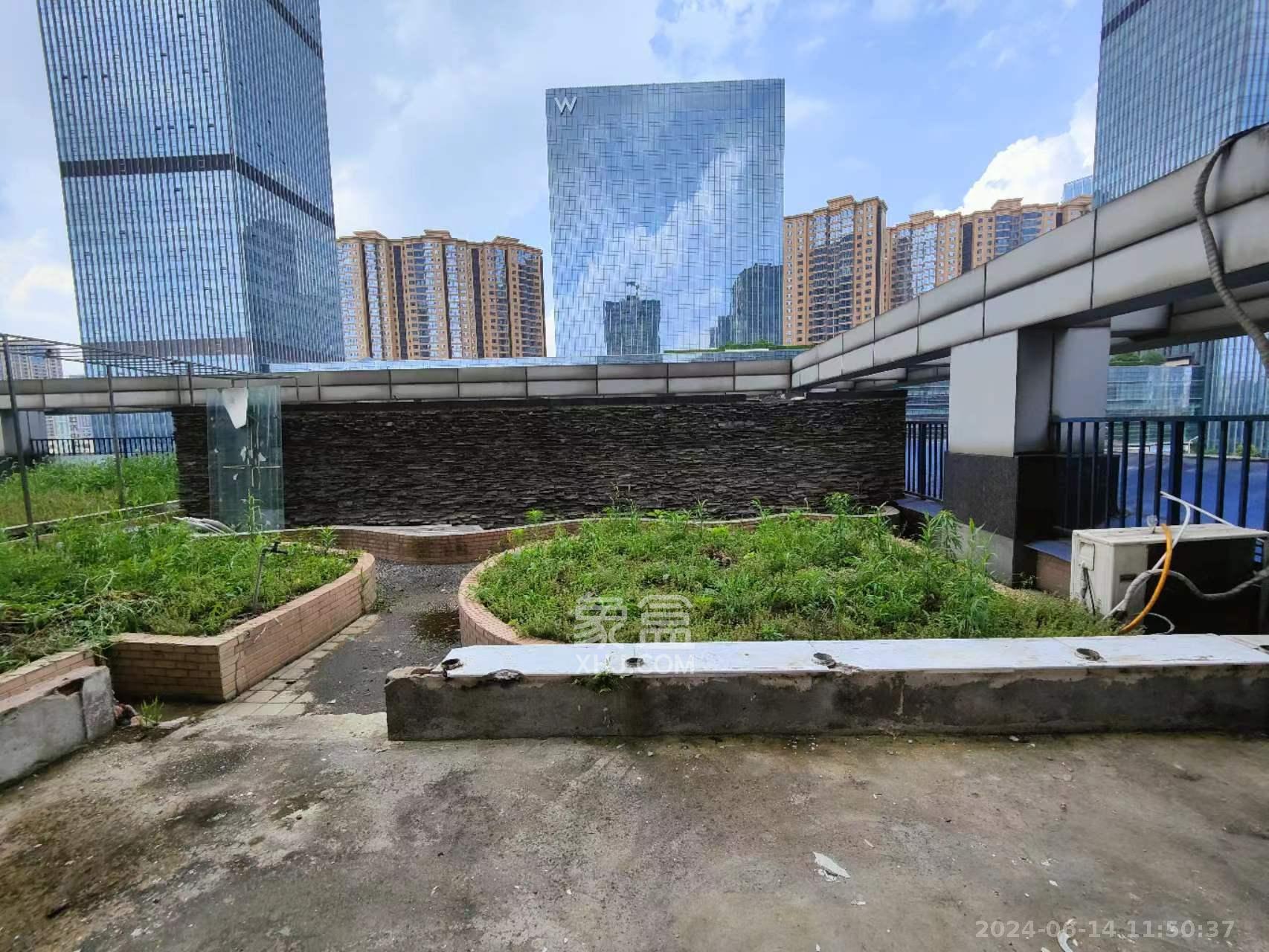 至雅大厦  5室2厅1卫   30000.00元/月室内图