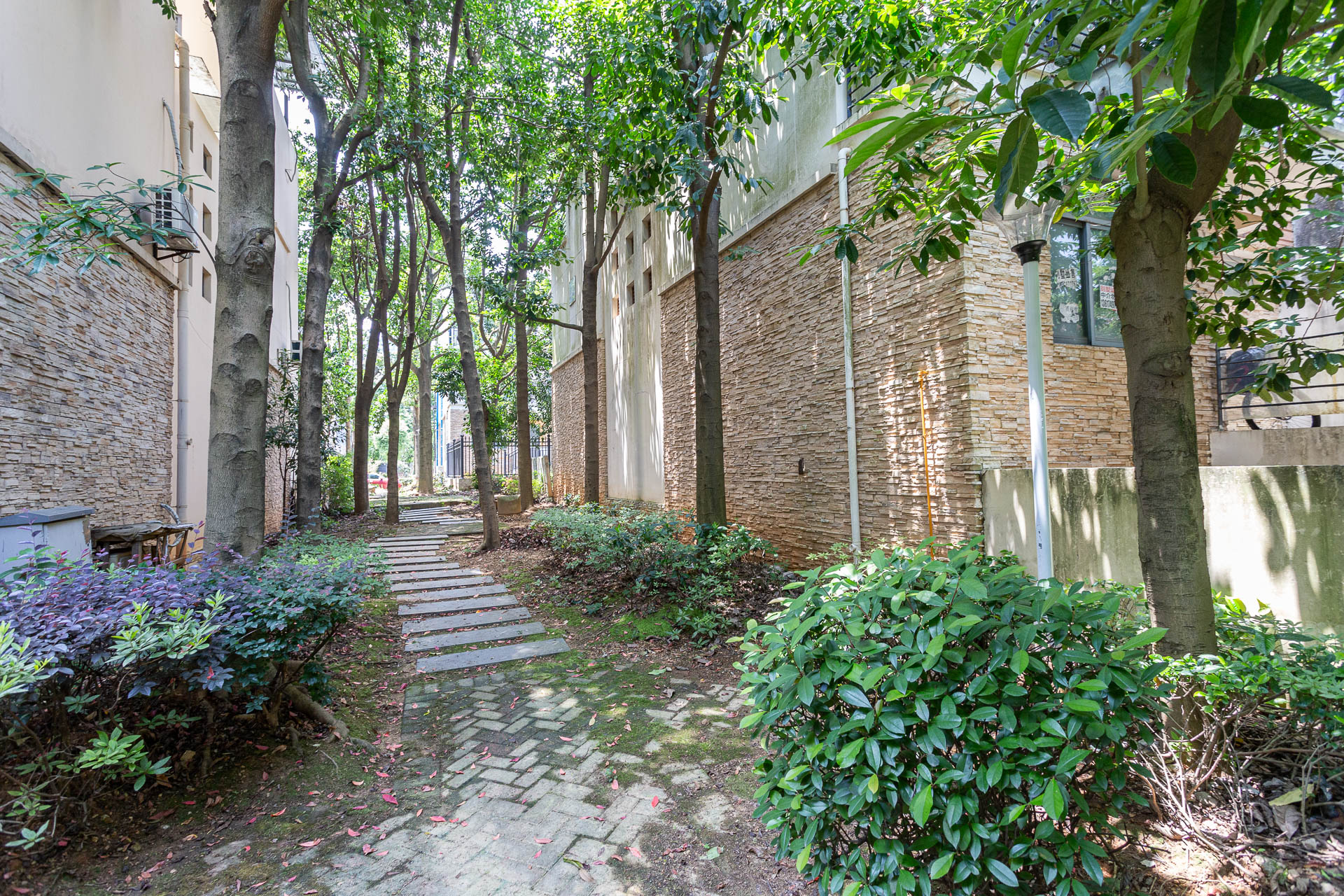 南山苏迪亚诺  5室2厅4卫    305.0万 南山苏迪亚诺  5室2厅4卫    305.0万其他