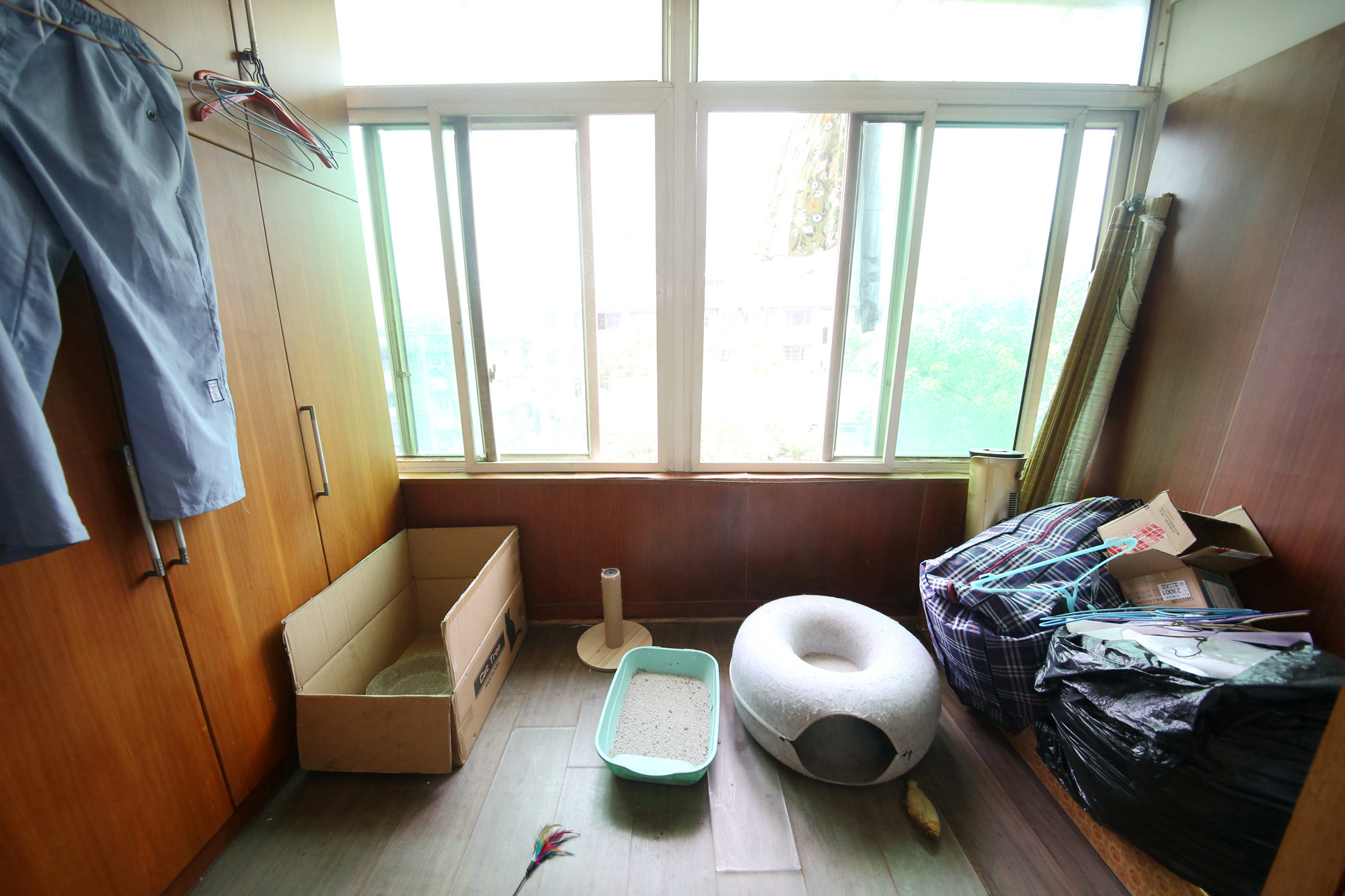 文艺新村  1室1厅1卫   25.00万阳台