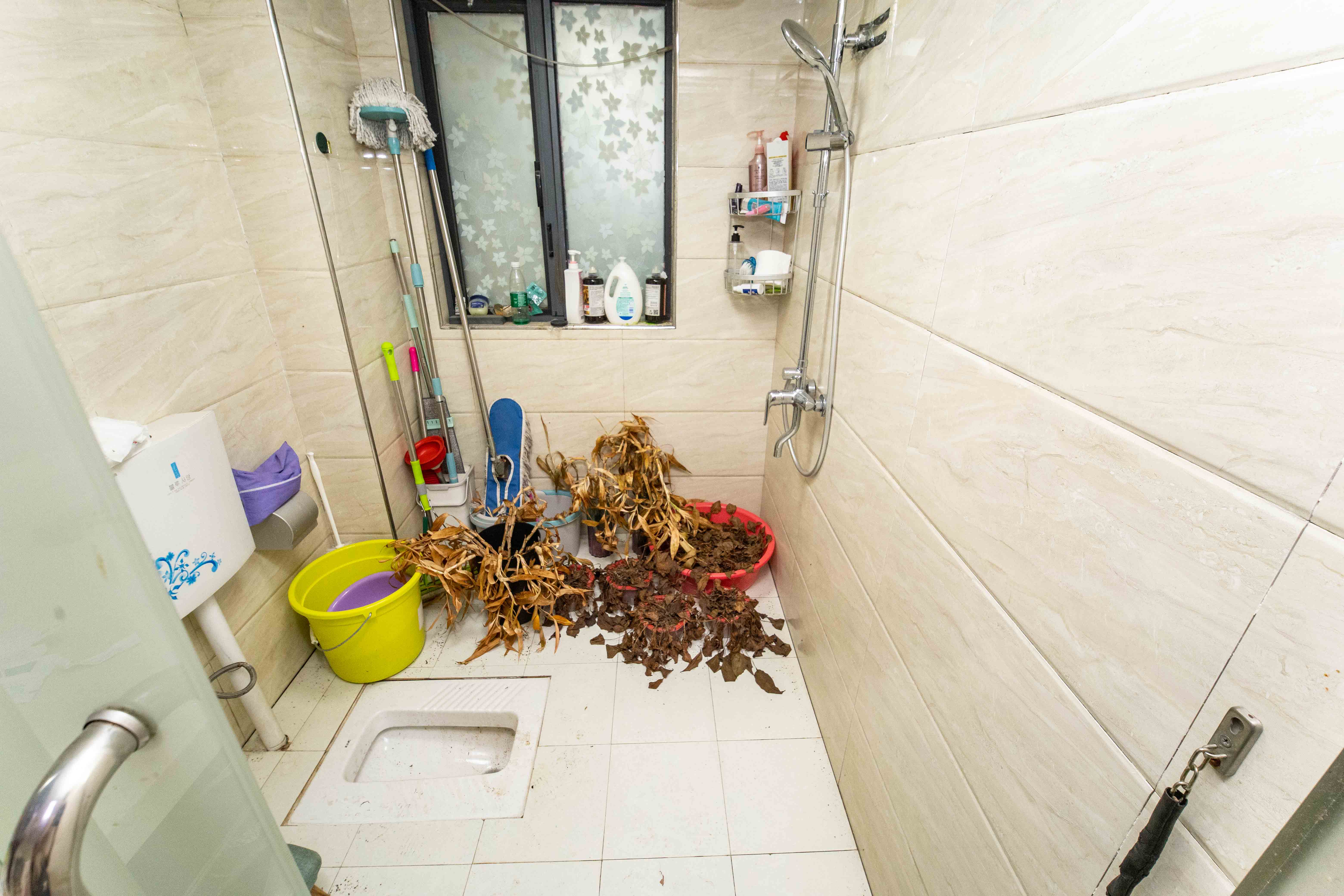 长房白沙湾 4室2厅2卫 156.0万 长房白沙湾 4室2厅2卫 156.0万卫生间