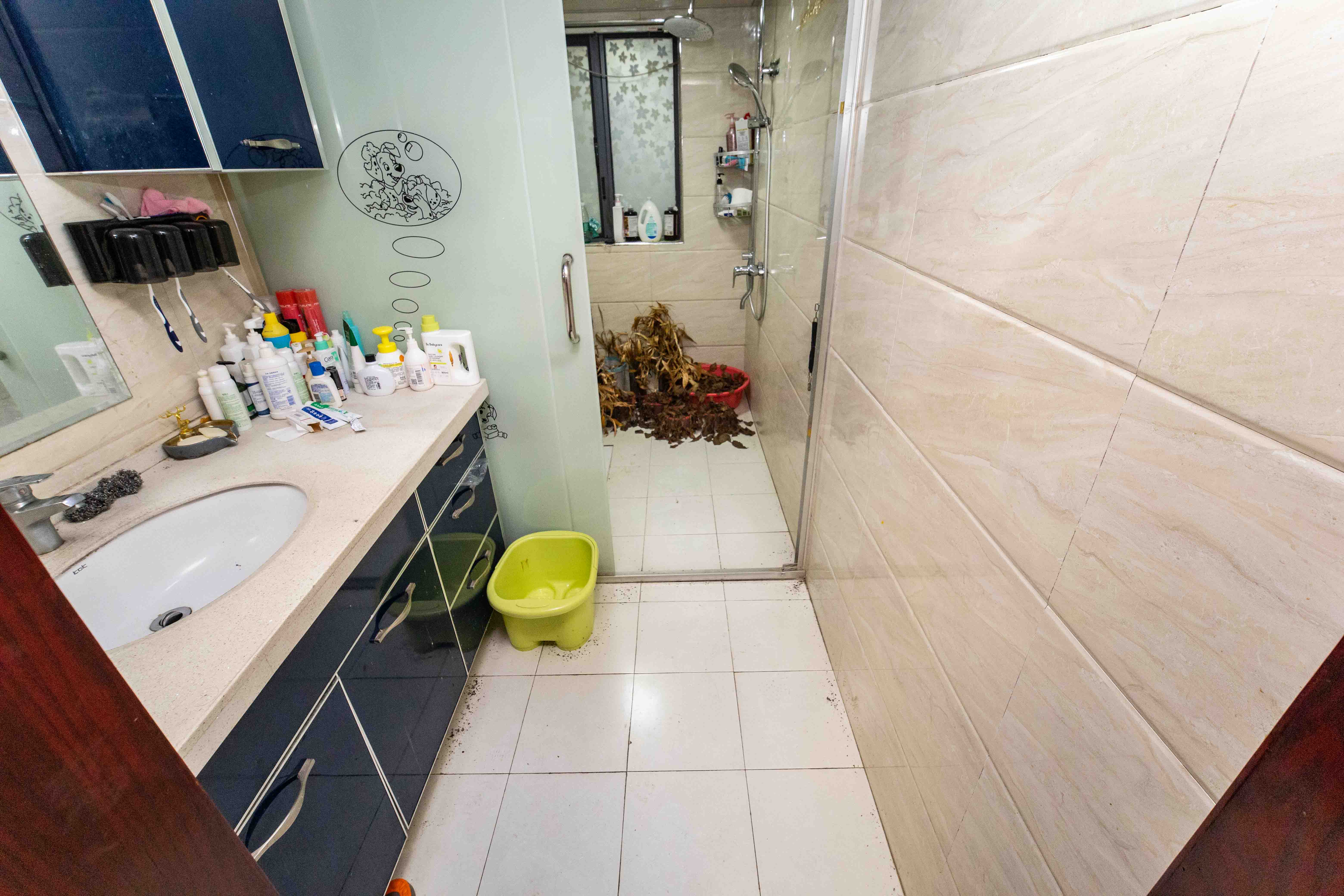 长房白沙湾 4室2厅2卫 156.0万 长房白沙湾 4室2厅2卫 156.0万卫生间