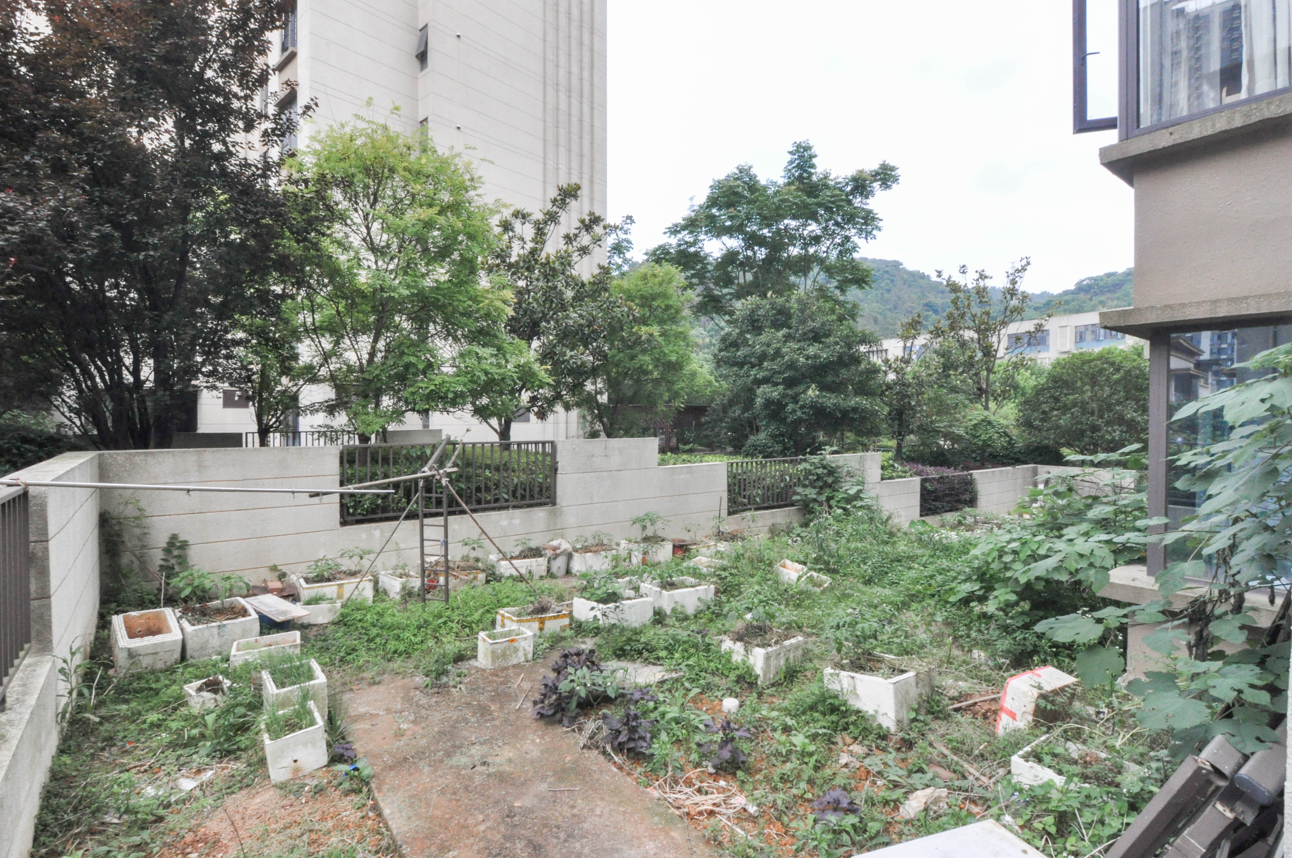 佳兆业云顶梅溪湖（佳兆业梅溪荟）  4室2厅2卫   305.00万其他