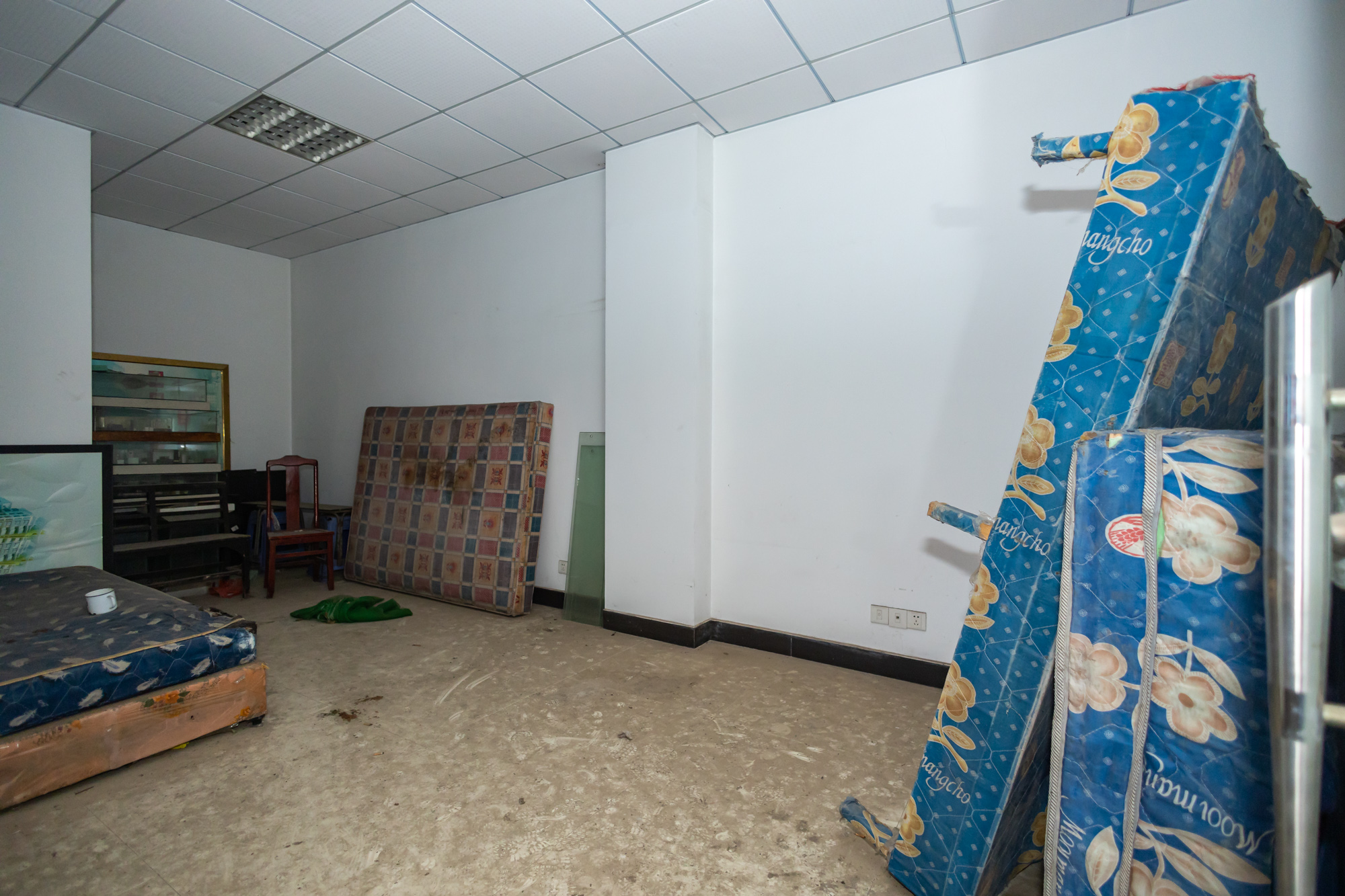 星沙二区  10室10厅5卫    500.0万 星沙二区  10室10厅5卫    500.0万卧室