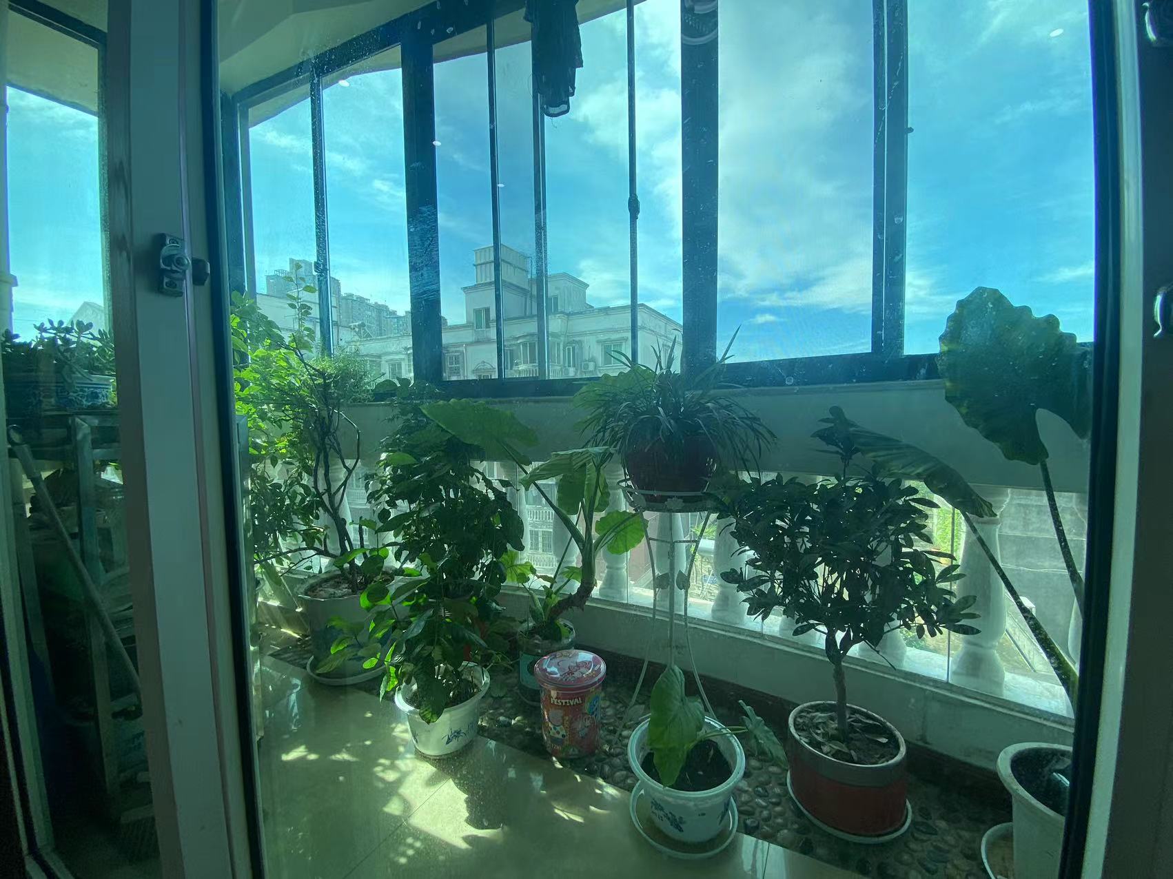 西苑小区 4室2厅2卫 66.8万 西苑小区 4室2厅2卫 66.8万室内图