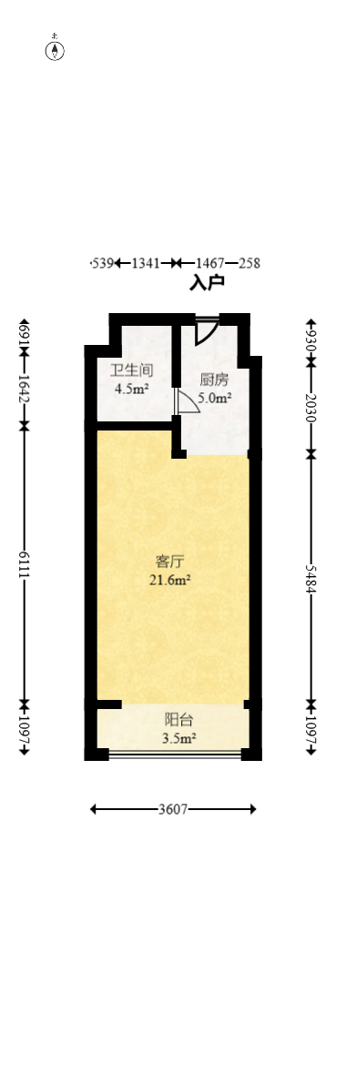 鑫远悦城（鑫远悦时代）  1室1厅1卫   30.00万室内图1