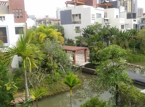 凤凰水城凤凰湾 3室2厅2卫 5000.0元/月 凤凰水城凤凰湾 3室2厅2卫 5000.0元/月室内图