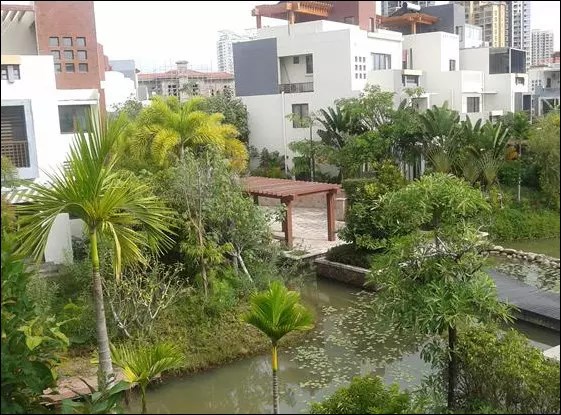 凤凰水城凤凰湾 3室2厅2卫 5000.0元/月 凤凰水城凤凰湾 3室2厅2卫 5000.0元/月室内图