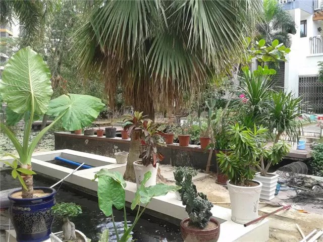 凤凰水城凤凰湾 4室2厅2卫 10000.0元/月 凤凰水城凤凰湾 4室2厅2卫 10000.0元/月室内图