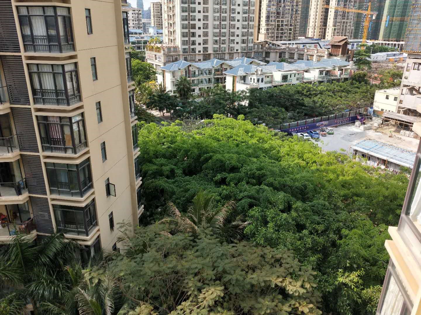 南枫悦海  1室1厅1卫    2400.0元/月室内图