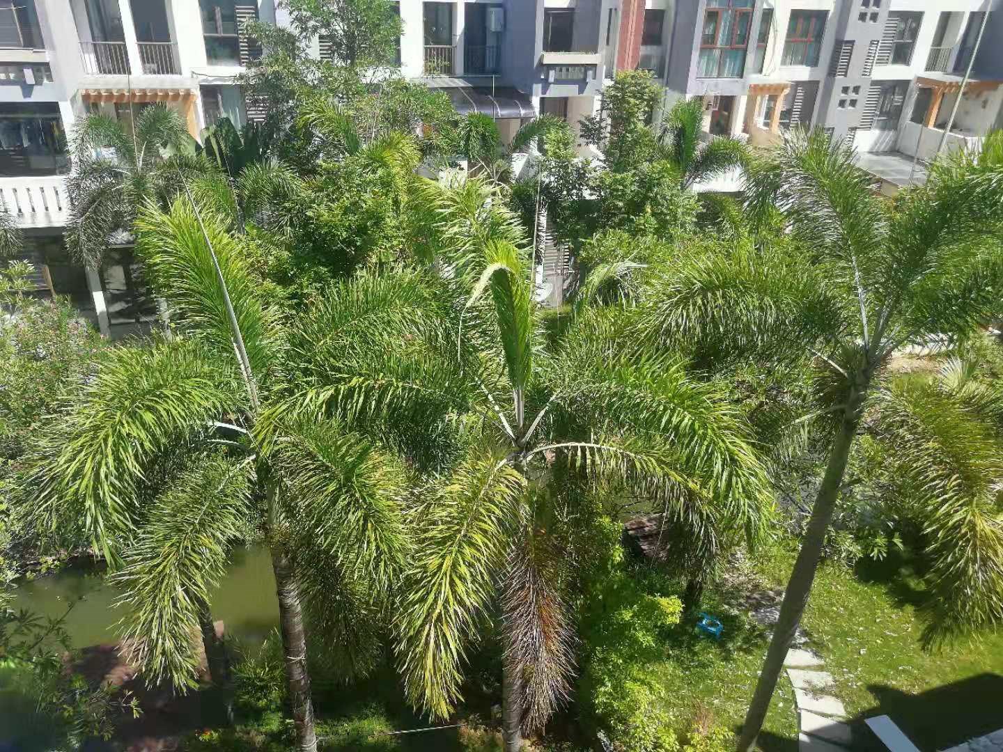 凤凰水城凤凰湾 3室2厅2卫 5000.0元/月 凤凰水城凤凰湾 3室2厅2卫 5000.0元/月室内图