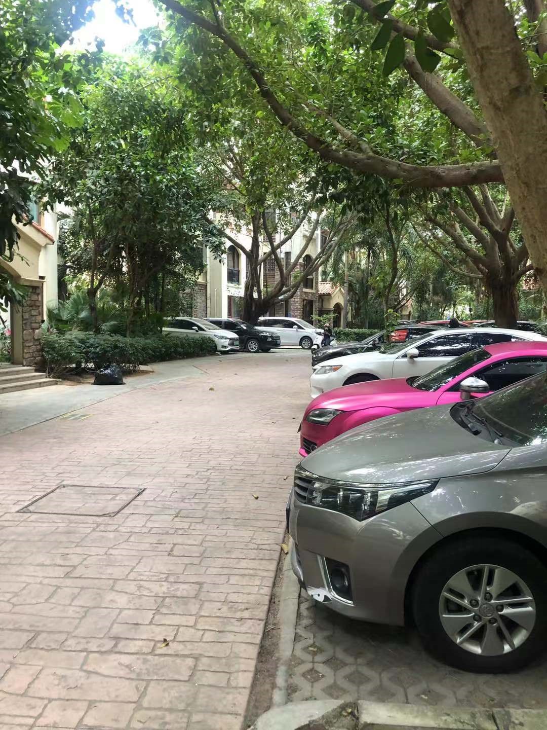 凤凰水城红树湾洋房 3室2厅2卫 4500.0元/月 凤凰水城红树湾洋房 3室2厅2卫 4500.0元/月室内图