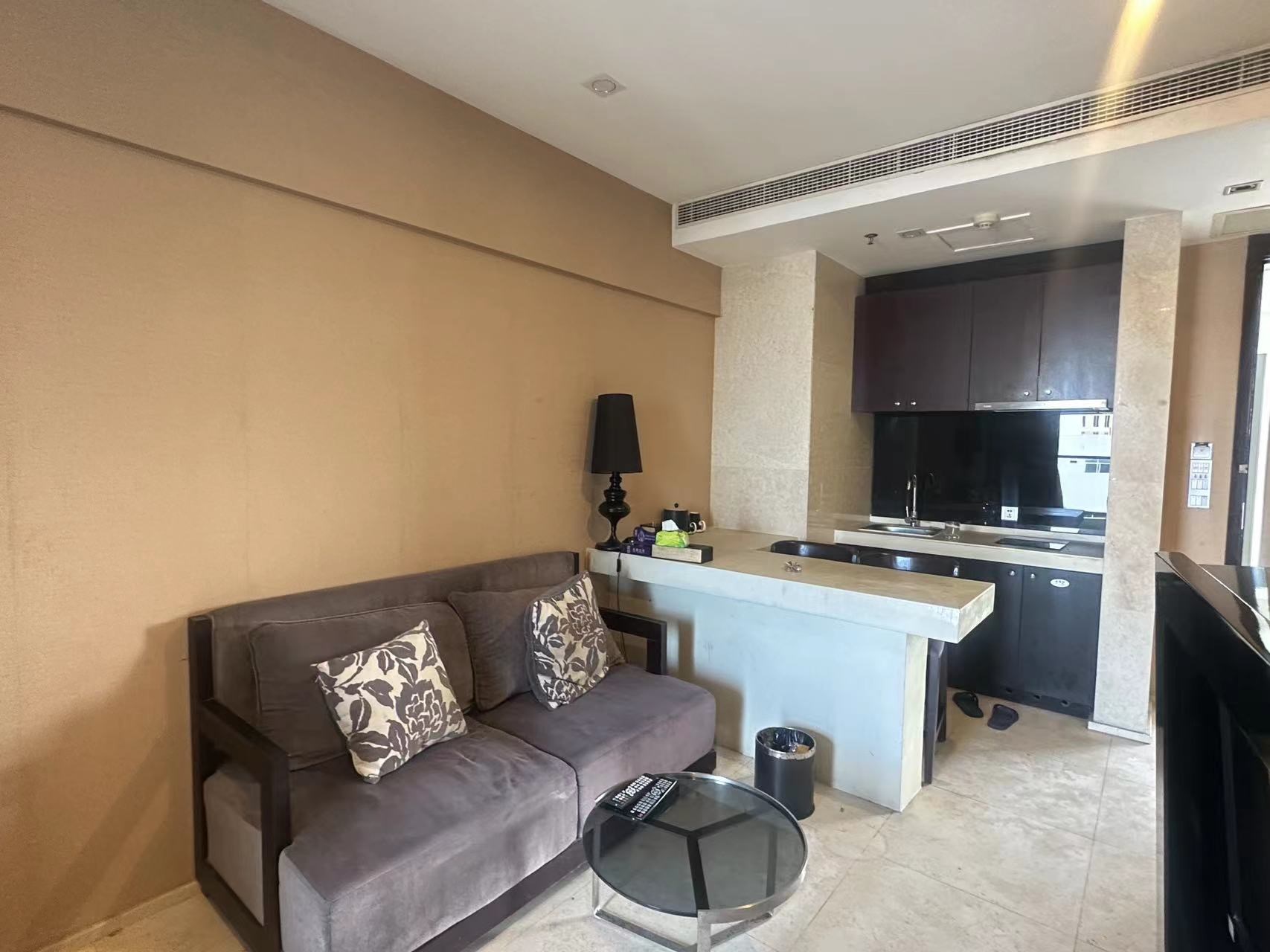 黎客度假酒店 1室1厅1卫 174.0万 黎客度假酒店 1室1厅1卫 174.0万客厅