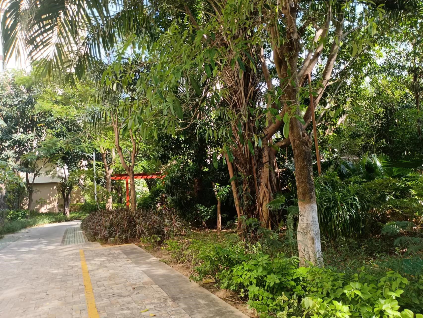 凤凰水城 2室2厅2卫 270.0万 凤凰水城 2室2厅2卫 270.0万客厅