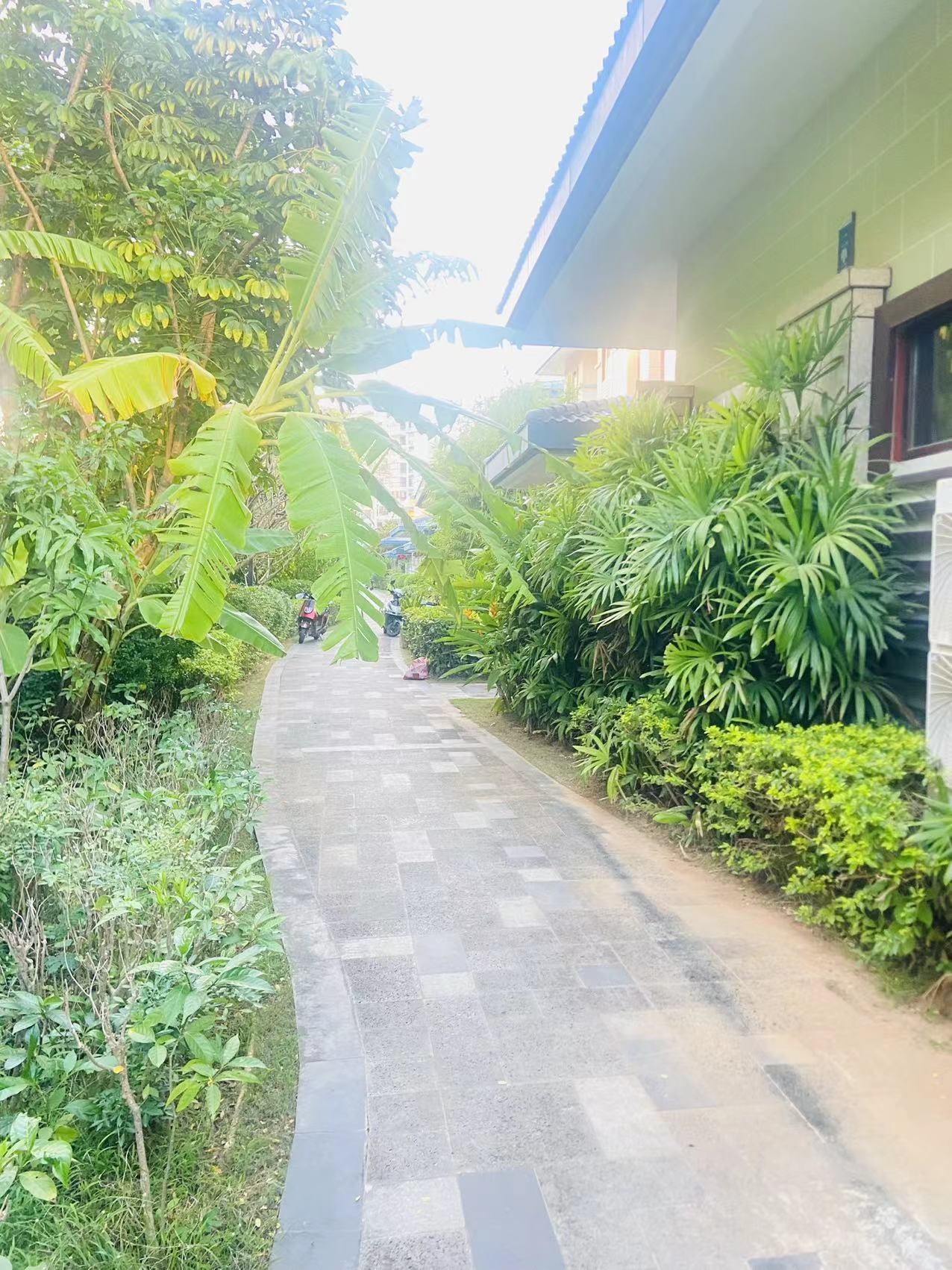 三亚小院 4室3厅3卫 530.00万 三亚小院 4室3厅3卫 530.00万客厅