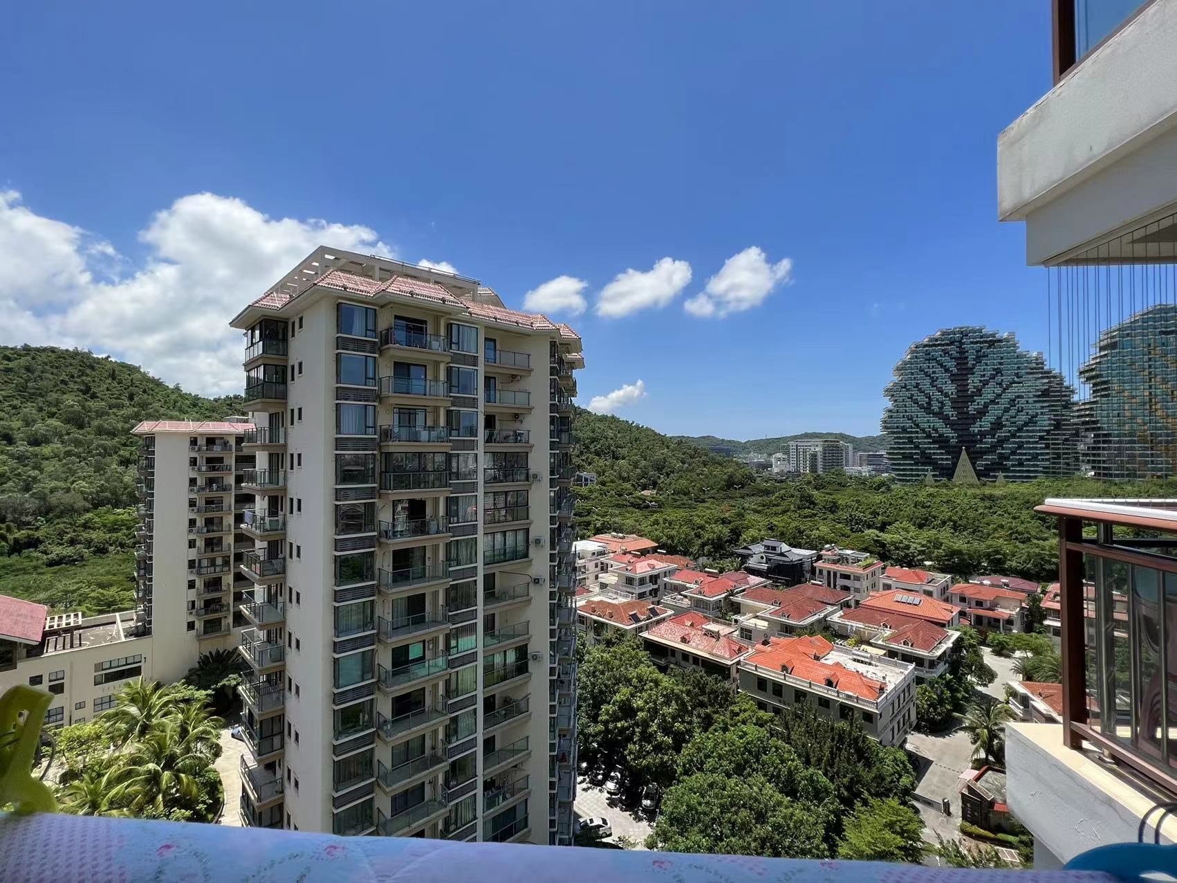 丽冠雅居  1室1厅1卫    240.0万客厅