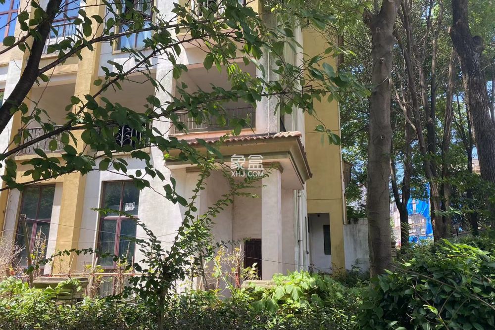 鹏基诺亚山林  6室2厅4卫    248.0万