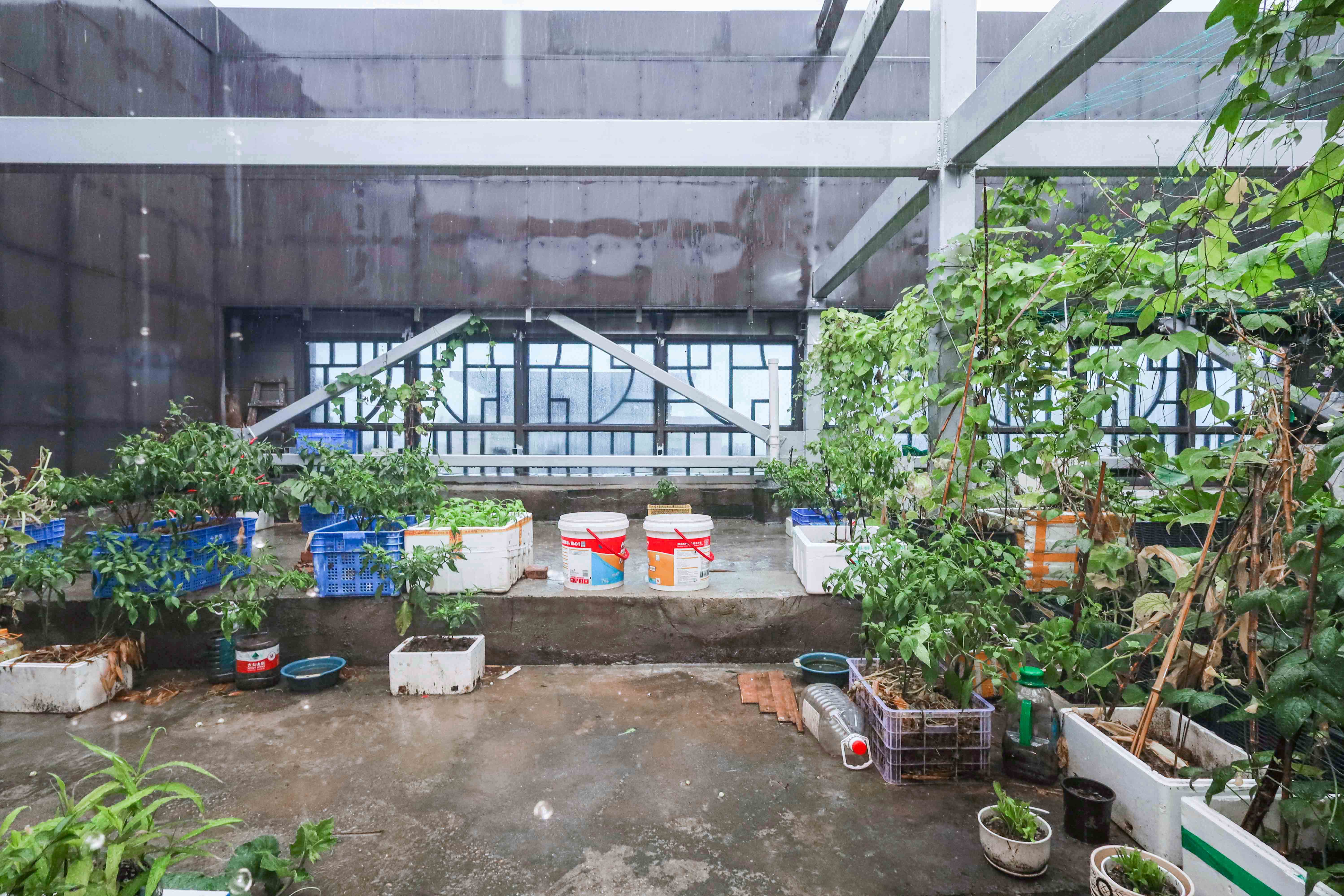 建发央著  3室2厅2卫   254.00万阳台