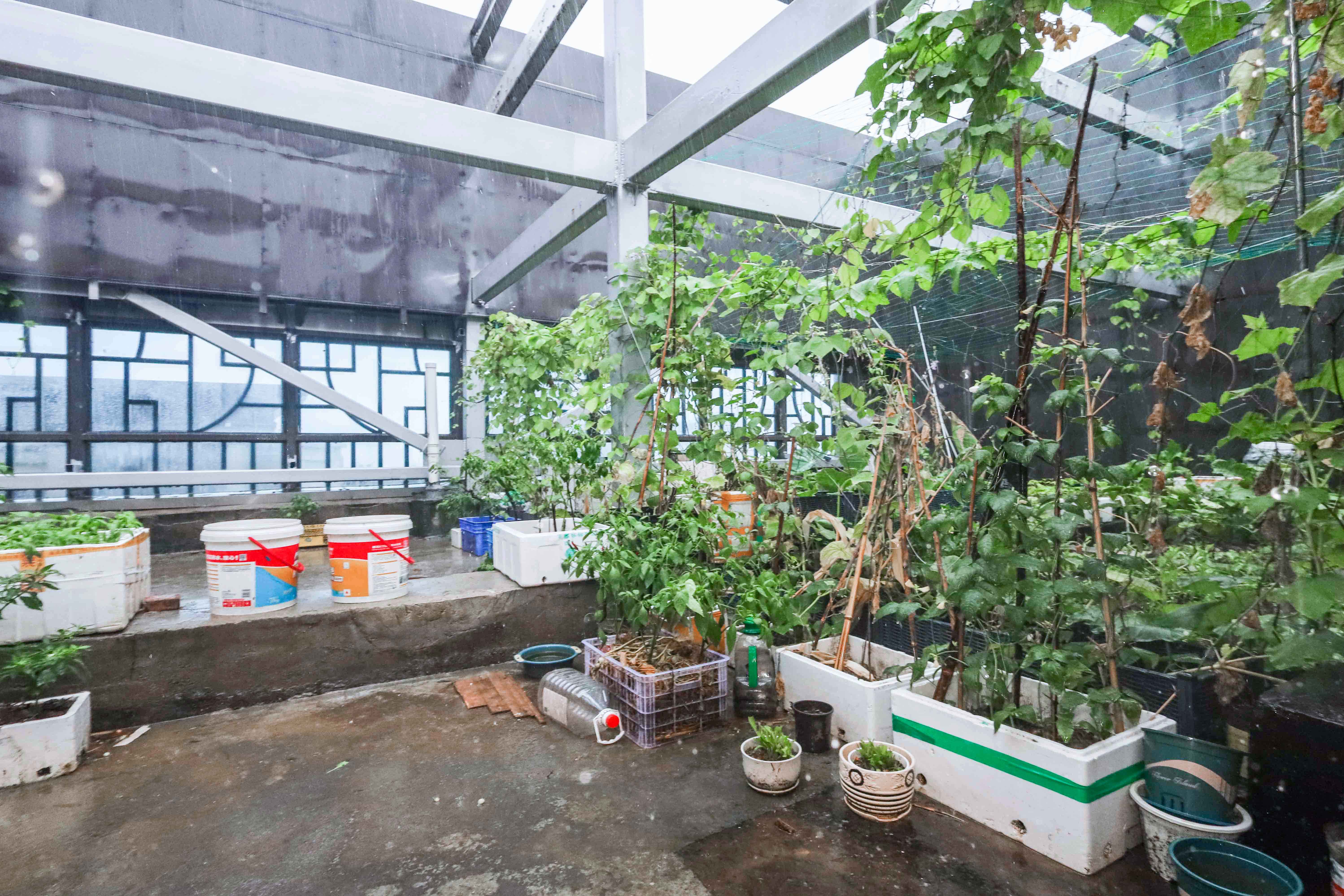 建发央著  3室2厅2卫   254.00万阳台