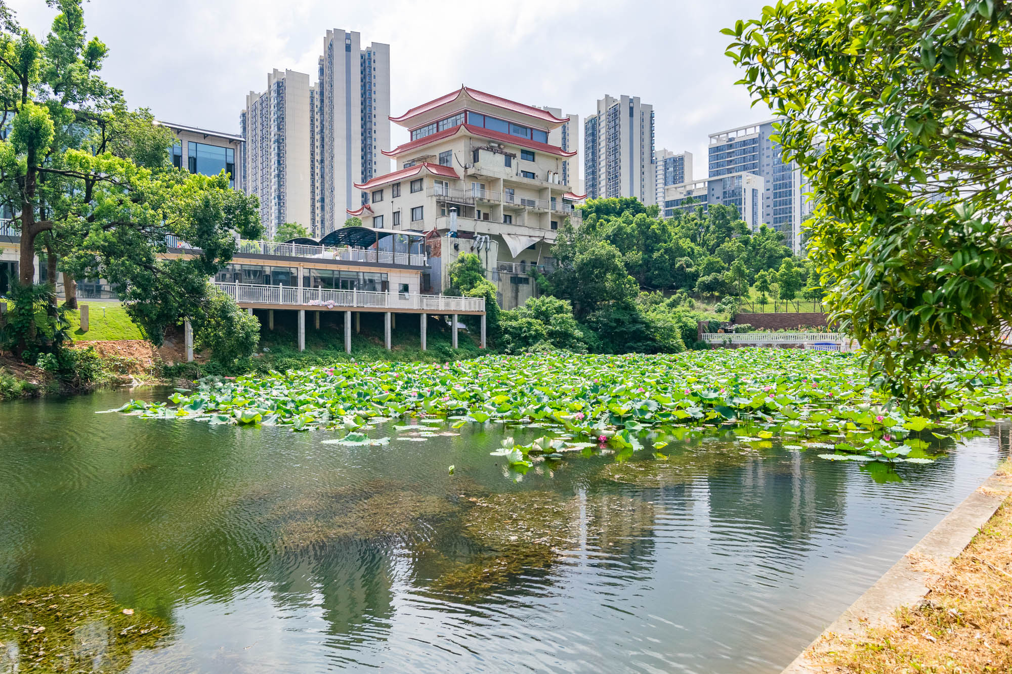 中粮北纬28°别墅 10室4厅5卫 1800.0万 中粮北纬28°别墅 10室4厅5卫 1800.0万其他