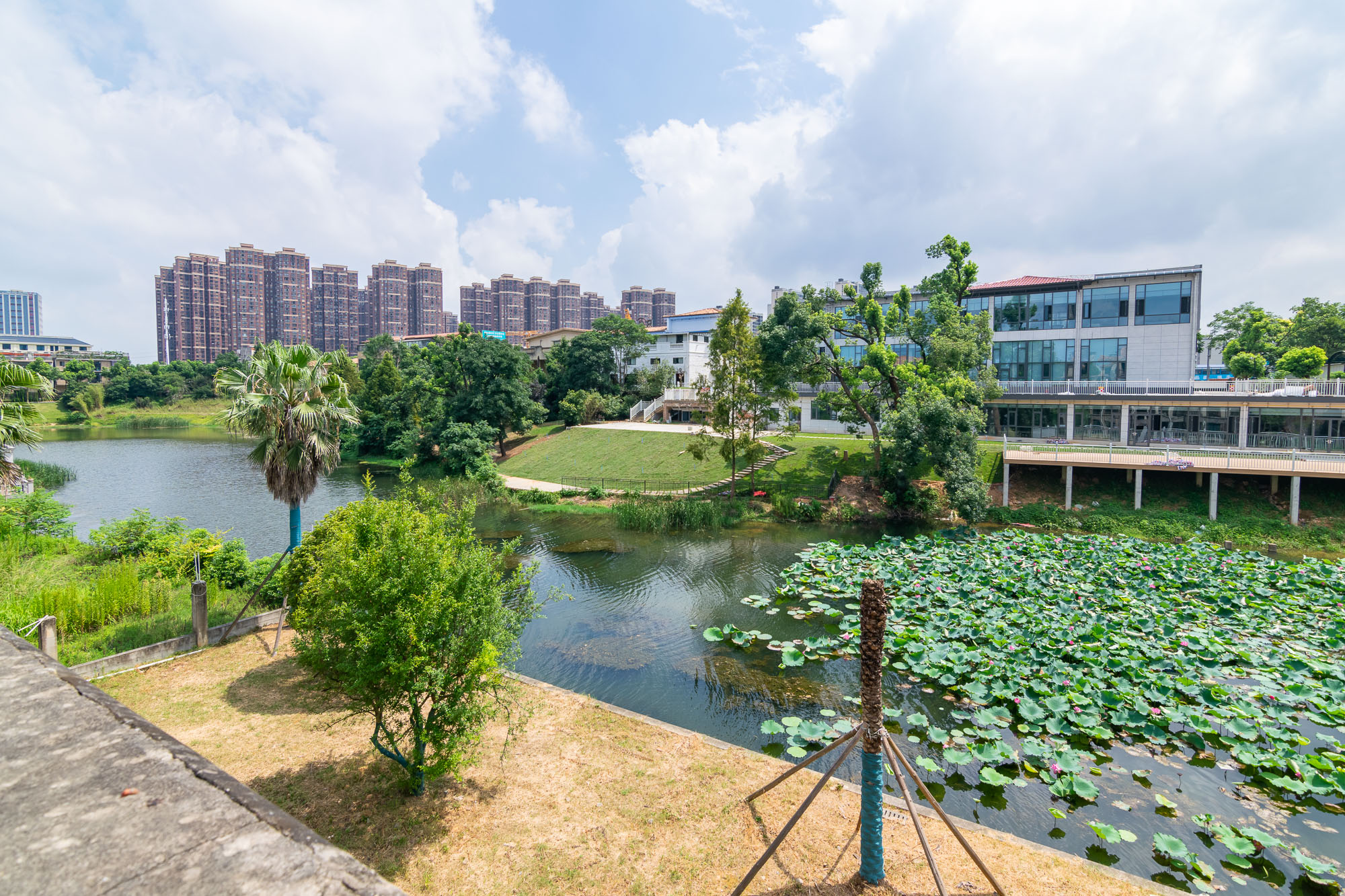 中粮北纬28°别墅 10室4厅5卫 1800.0万 中粮北纬28°别墅 10室4厅5卫 1800.0万其他