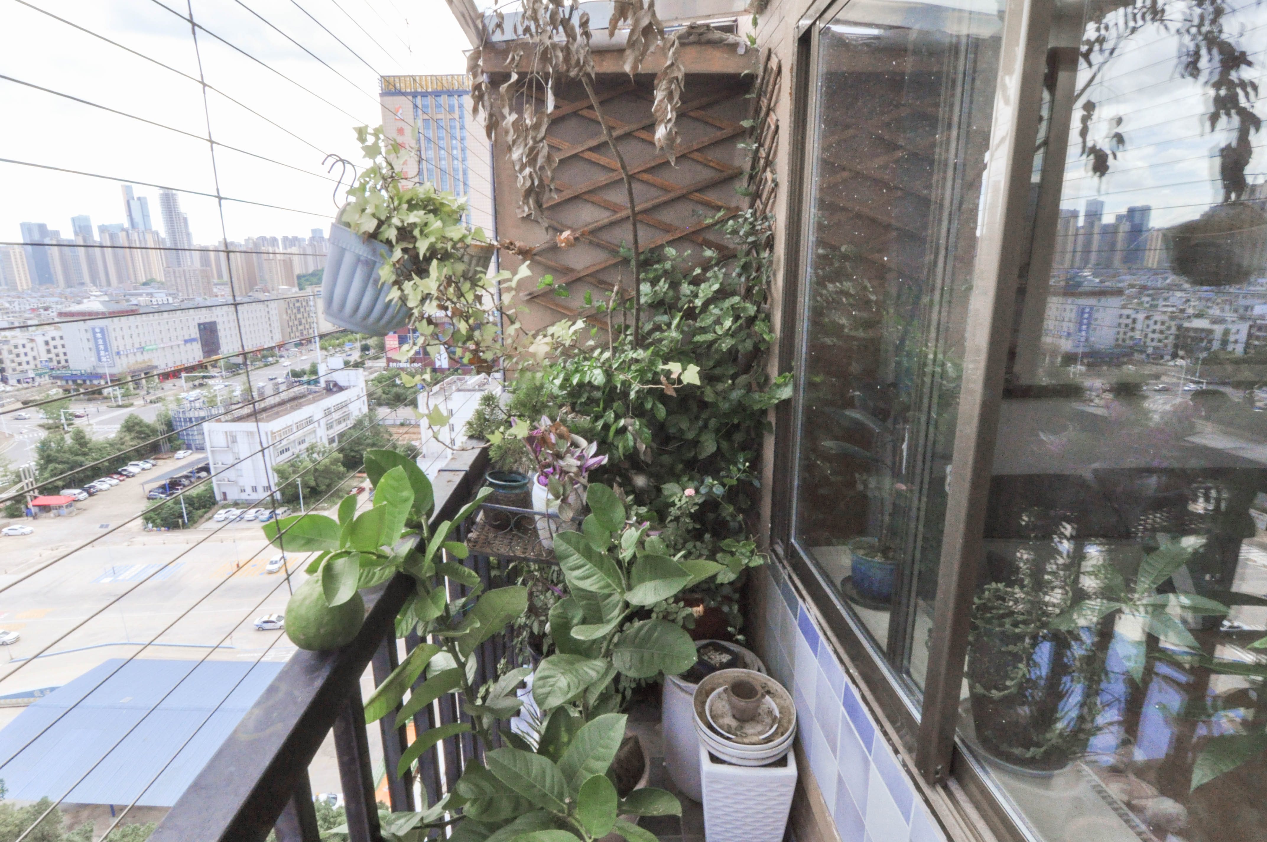 麓谷明珠  4室2厅2卫   164.00万其他