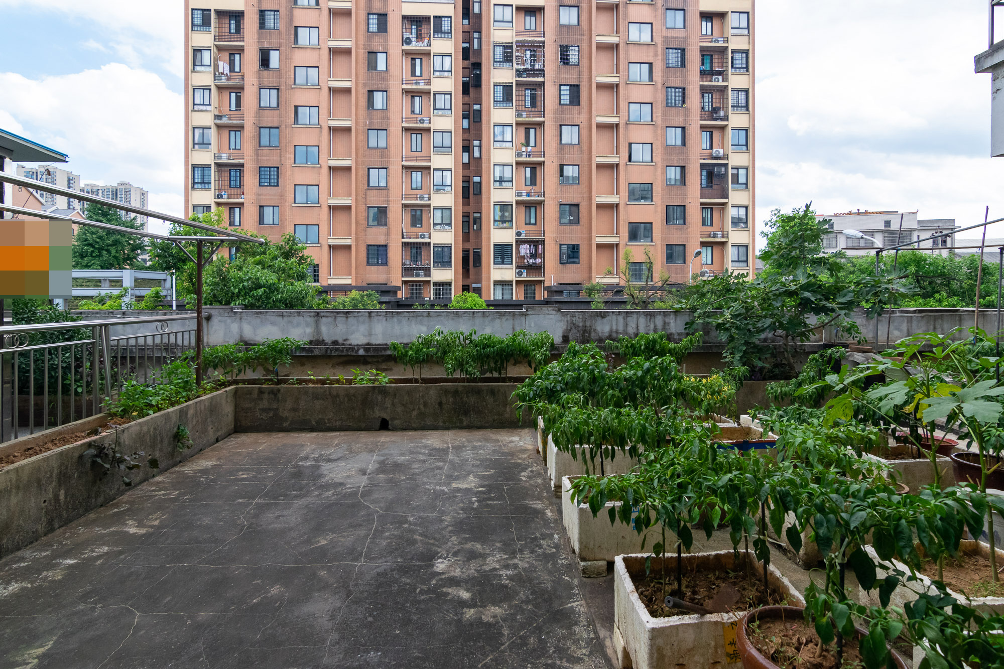 丽景华庭  2室2厅1卫    50.0万 丽景华庭  2室2厅1卫    50.0万其他