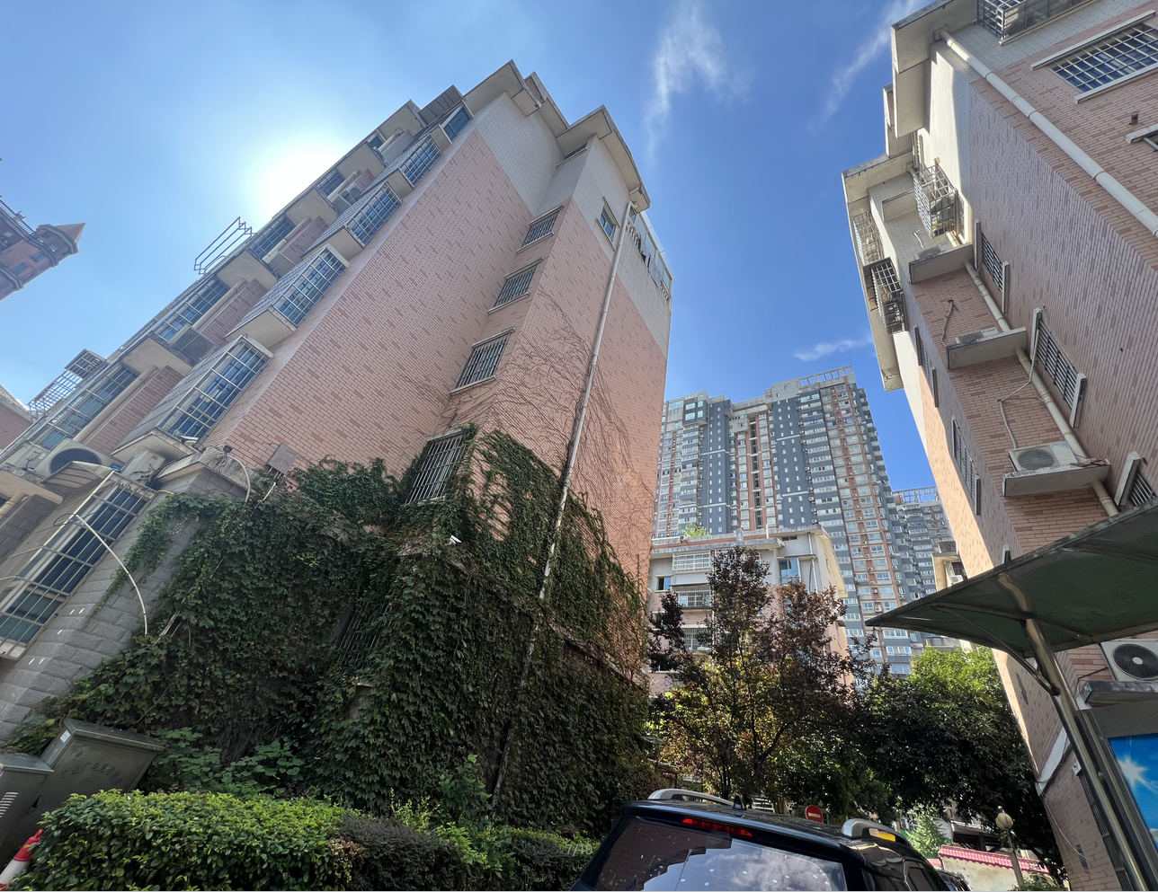 新雅园 新雅园室内图2