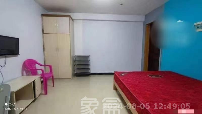 龙塘安置区（龙塘小区）  1室1厅1卫   800.00元/月室内图1
