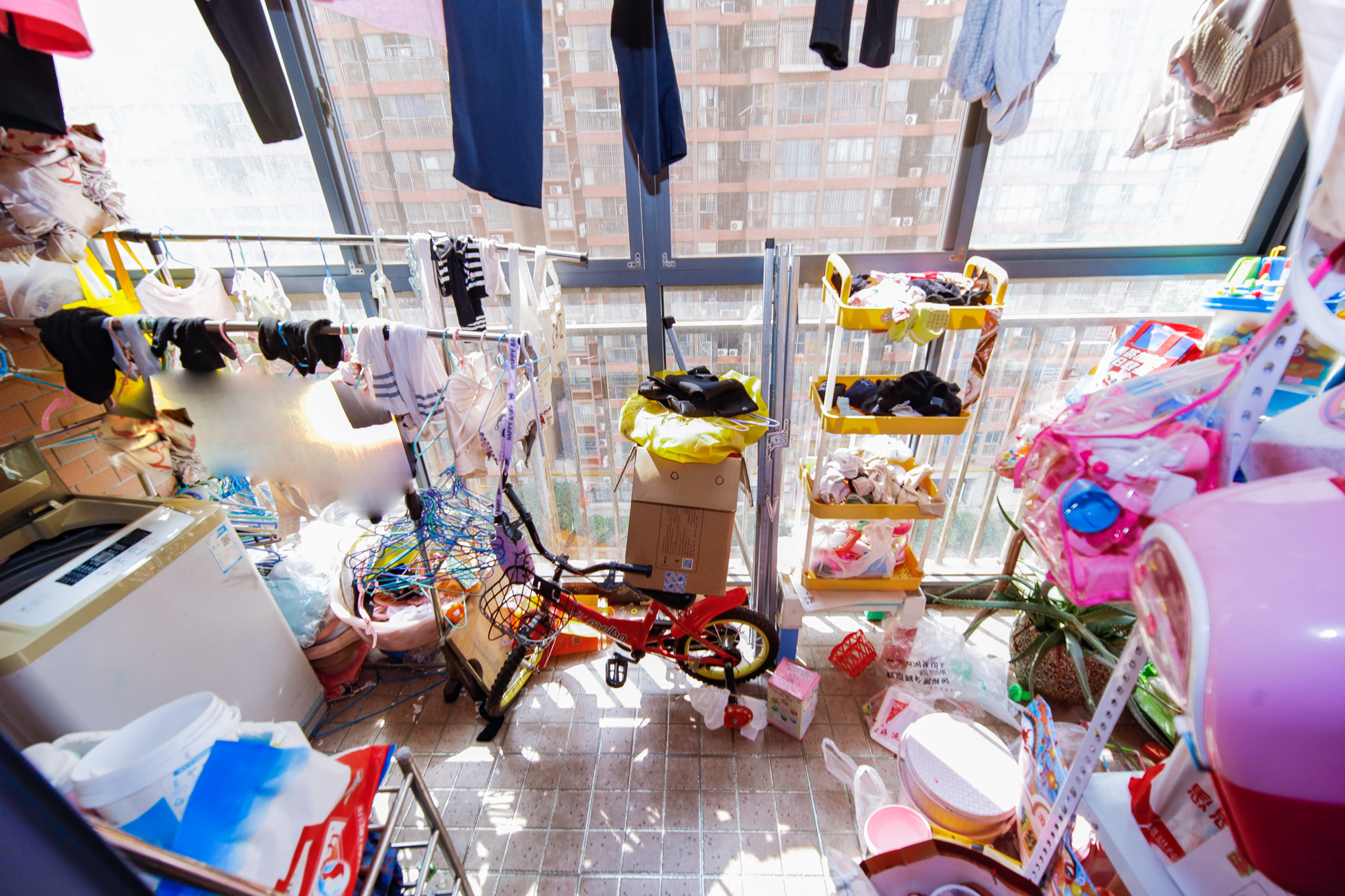 金领家族  2室2厅1卫   63.00万阳台