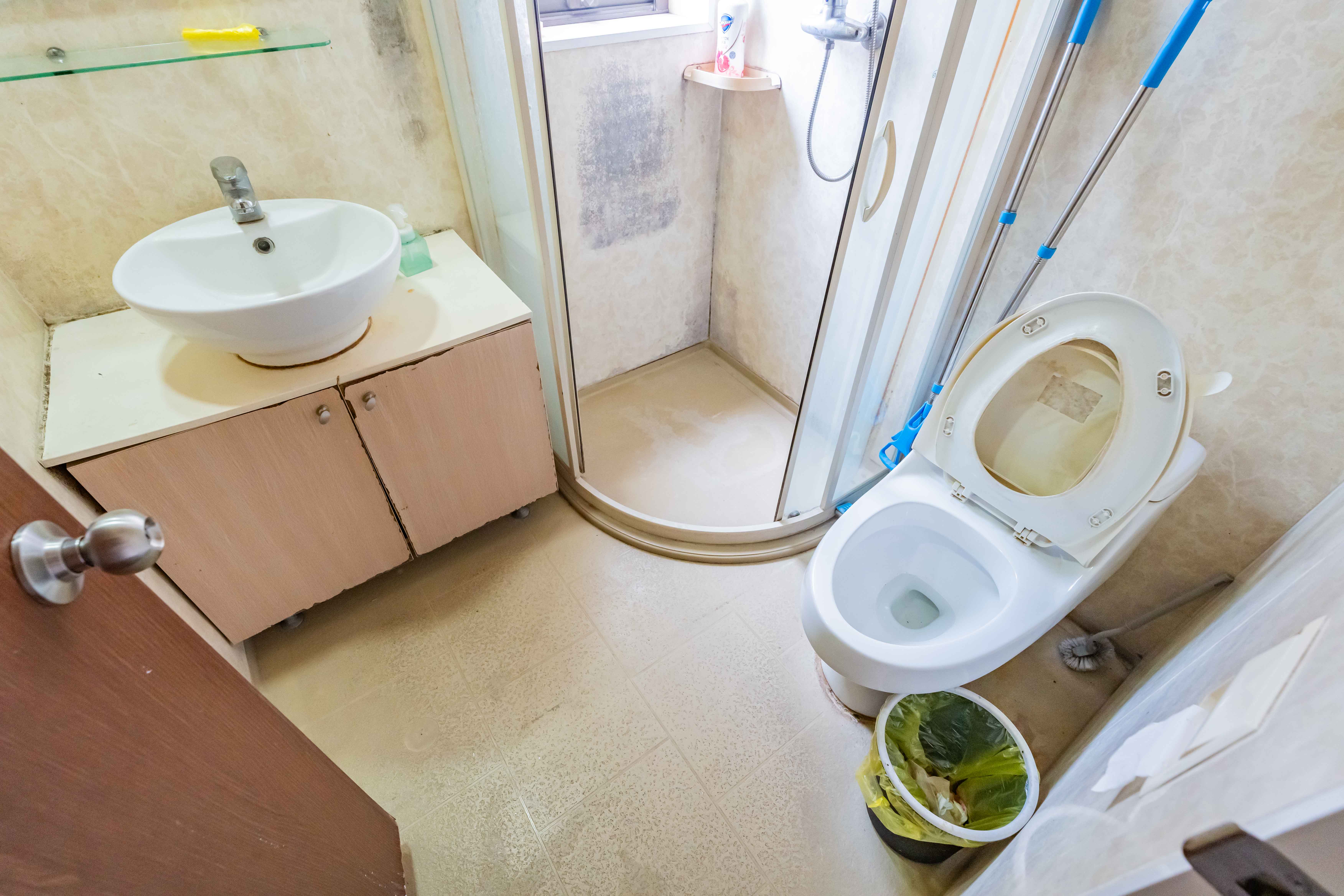 盛世美居荷园  4室2厅2卫   320.00万卫生间