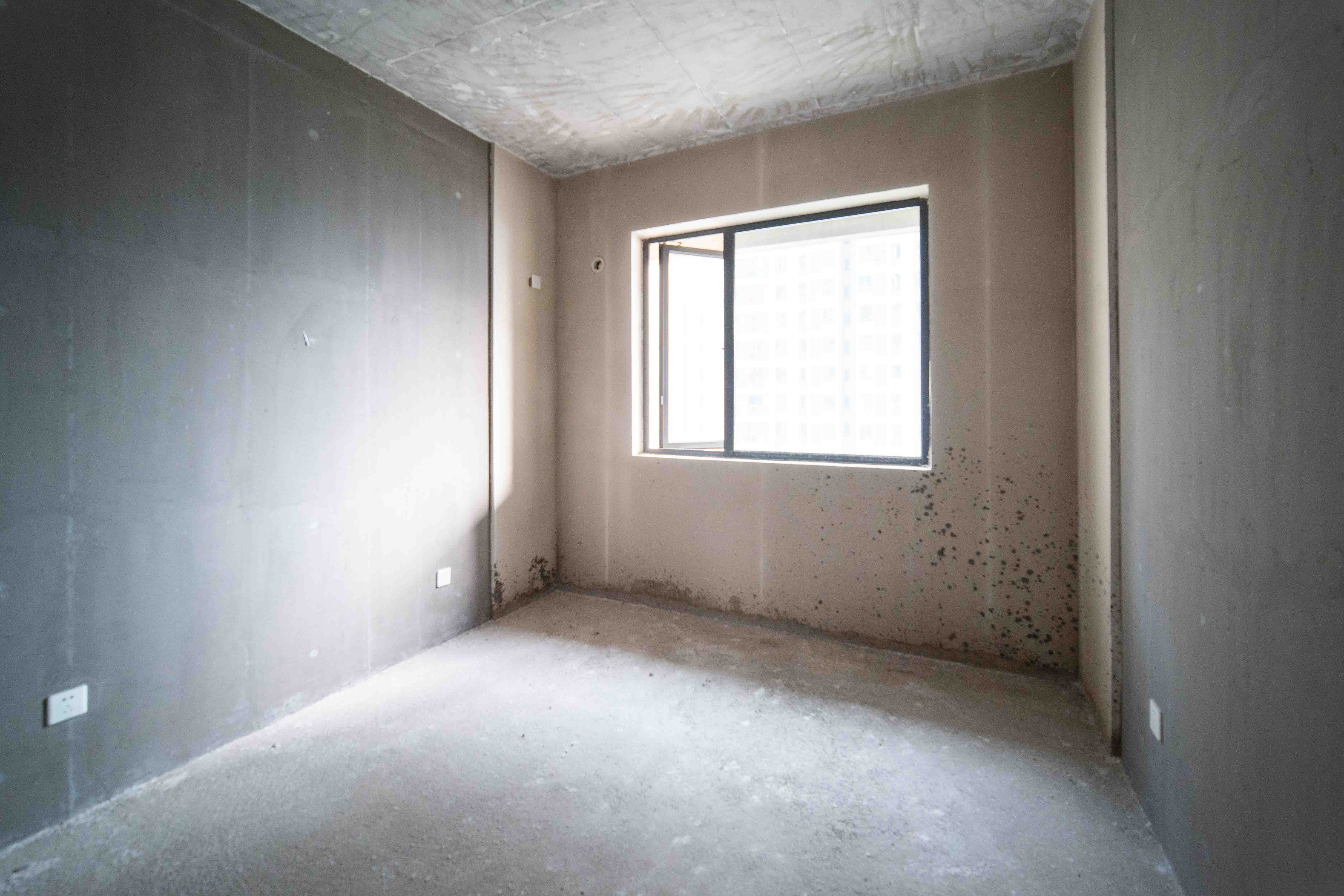 长房东旭国际  4室2厅2卫    200.0万其他