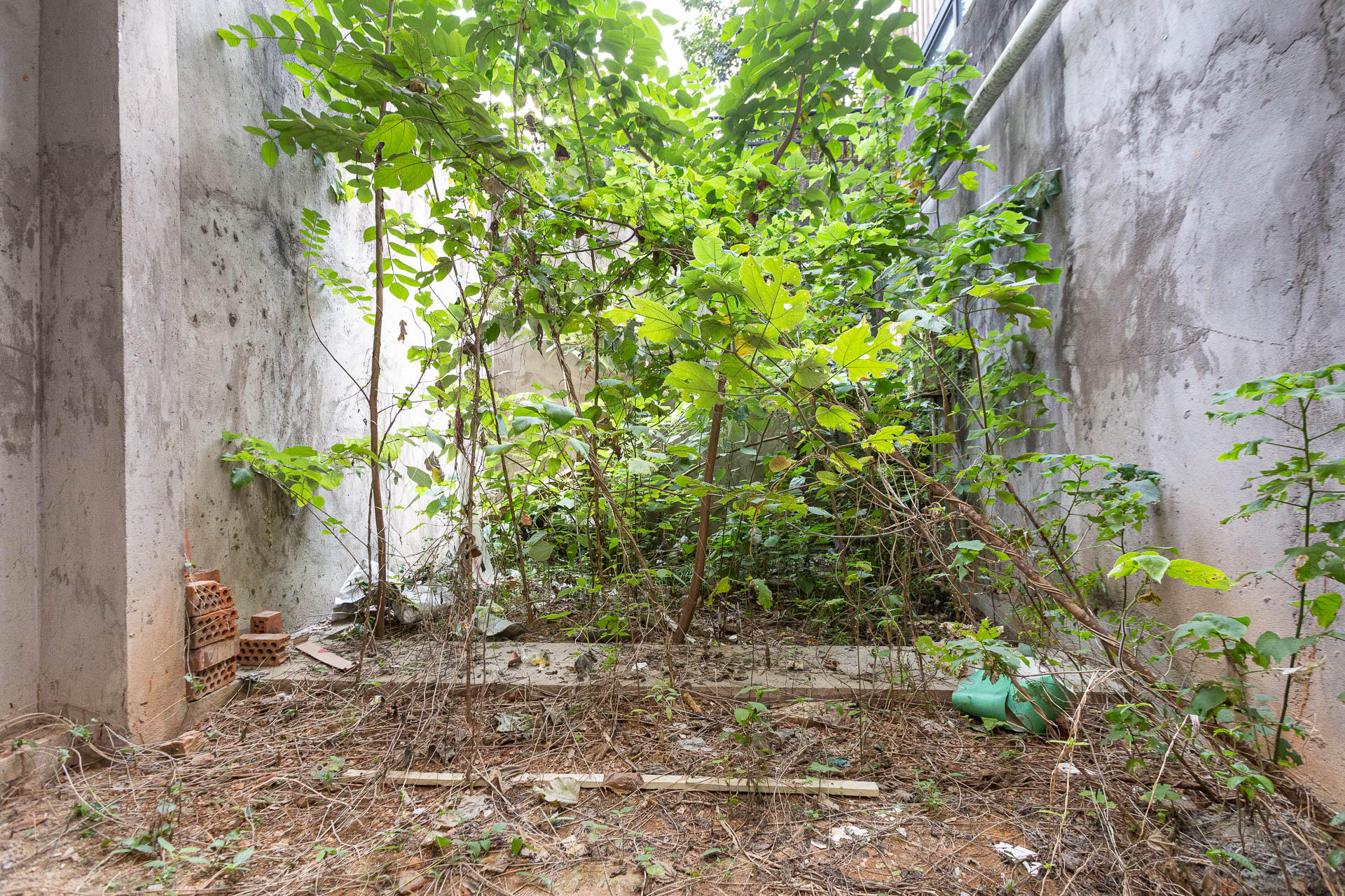 谷山逸墅 5室2厅2卫 330.0万 谷山逸墅 5室2厅2卫 330.0万其他