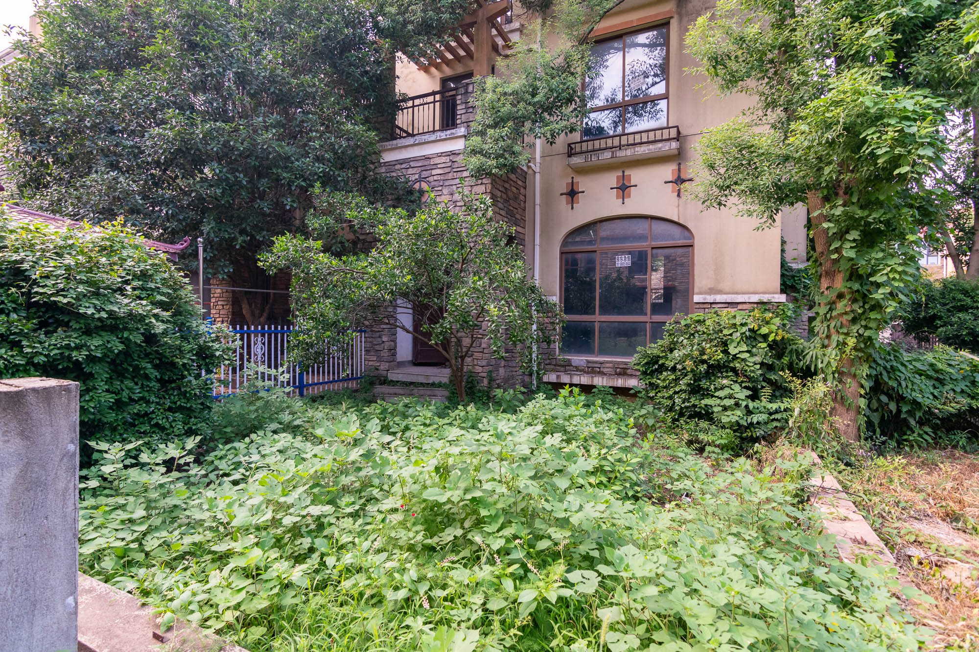 中新森林海  5室2厅3卫    235.0万 中新森林海  5室2厅3卫    235.0万其他