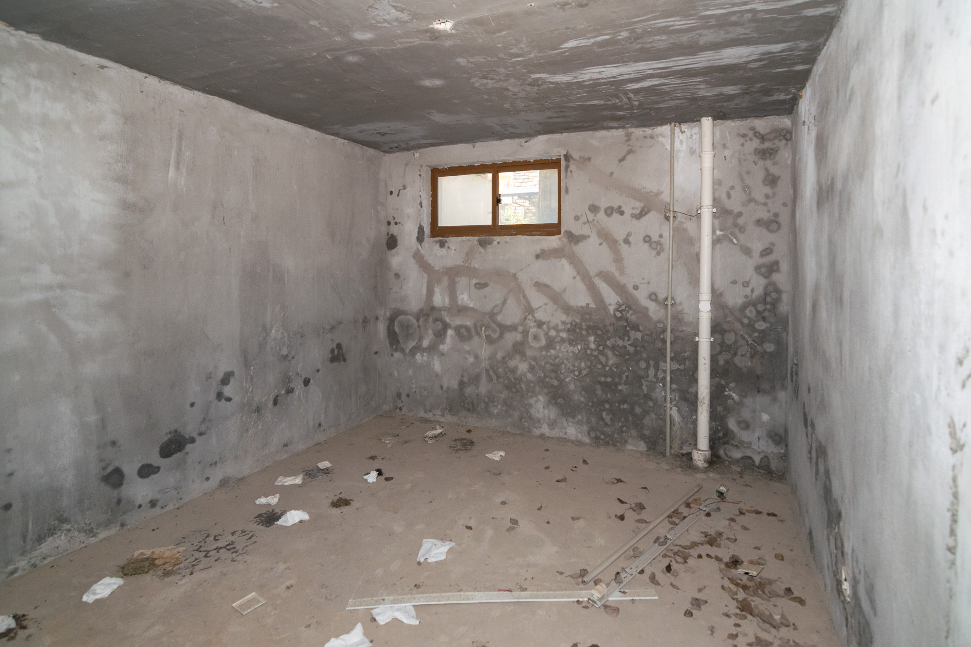 中新森林海  5室2厅3卫    230.0万 中新森林海  5室2厅3卫    230.0万其他