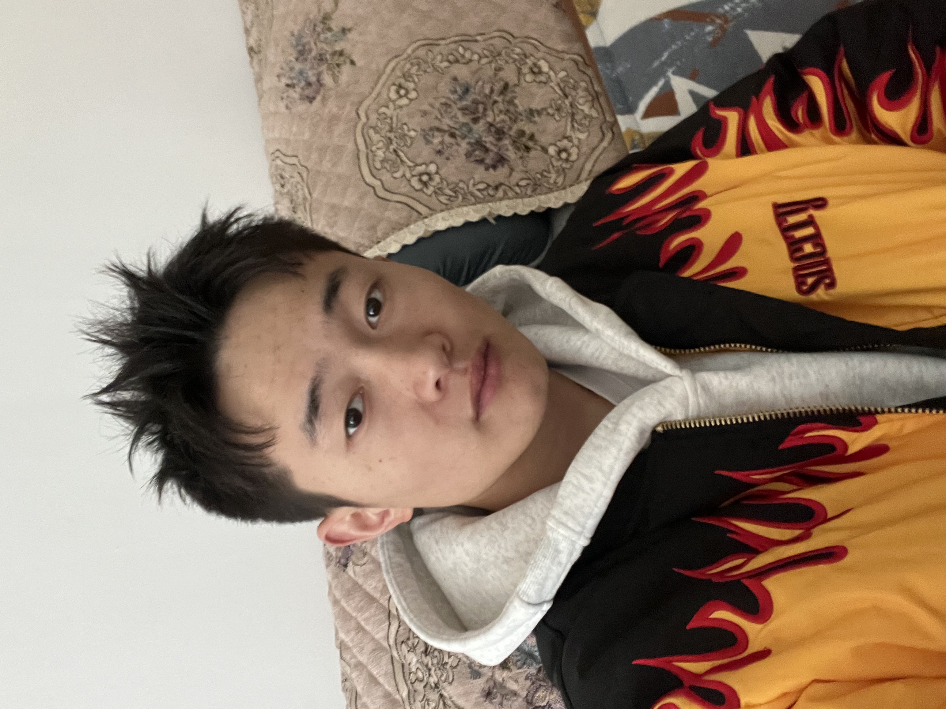 秦杉知贝